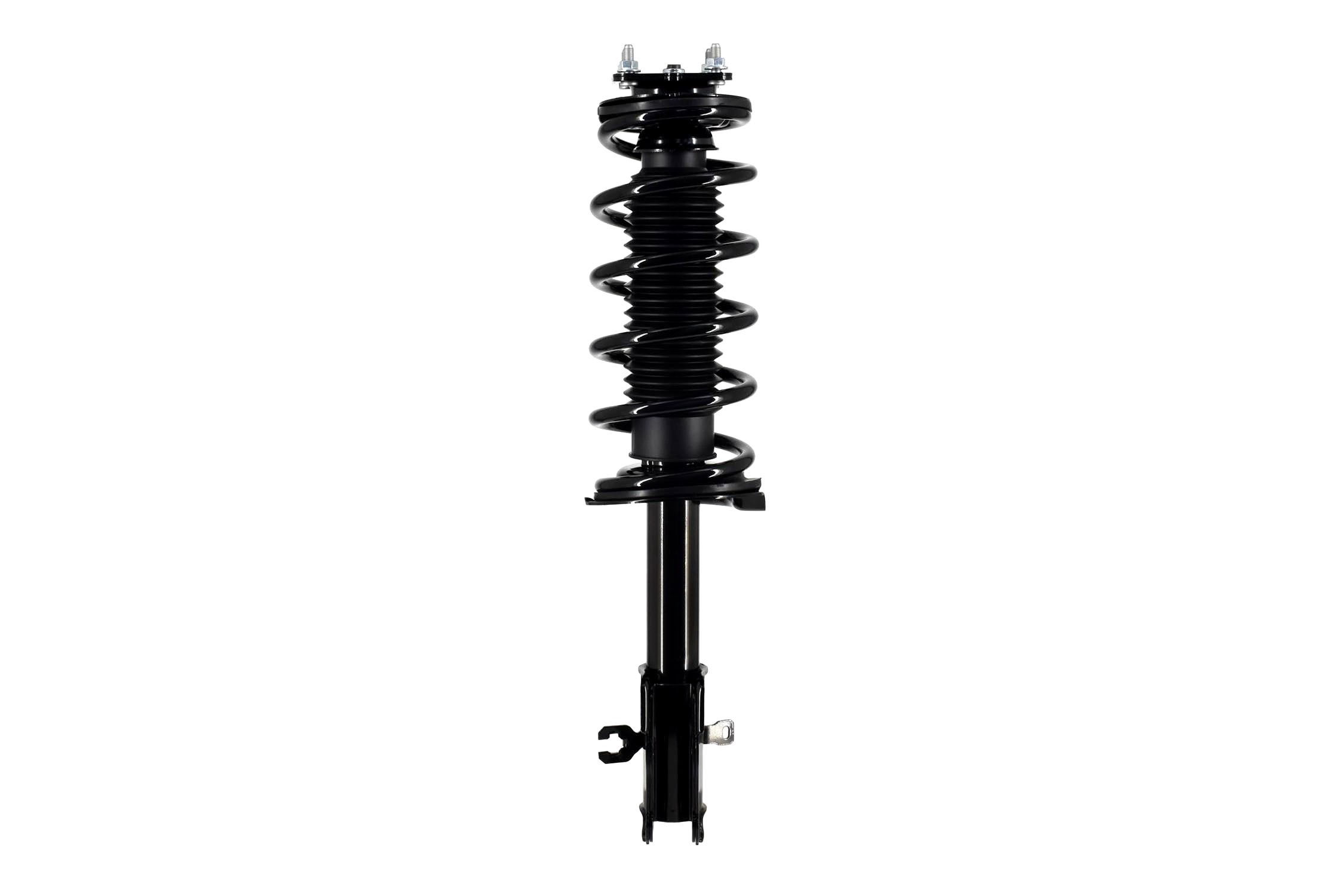 Suspension Strut and Coil Spring Assembly