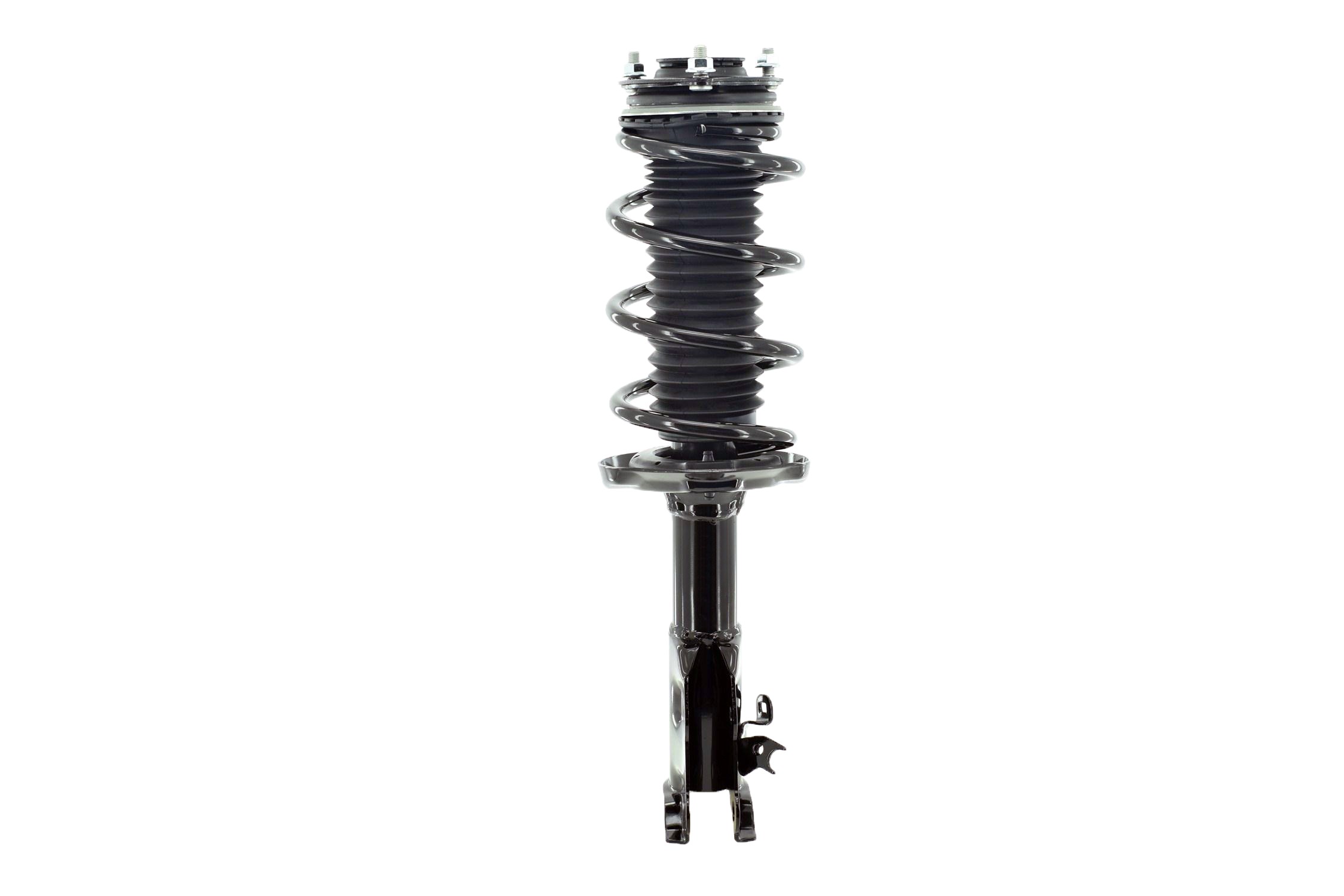 Suspension Strut and Coil Spring Assembly