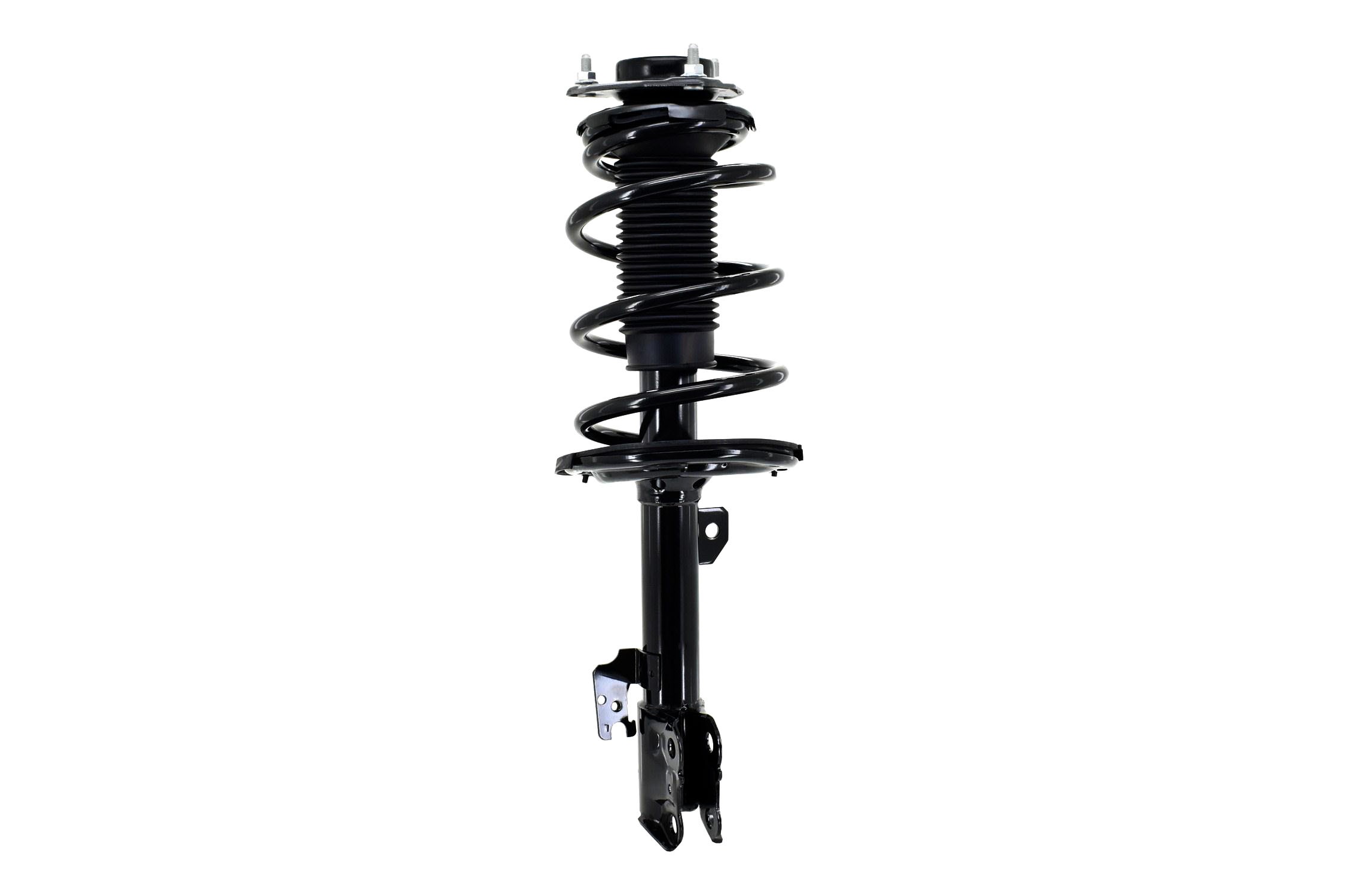 Suspension Strut and Coil Spring Assembly