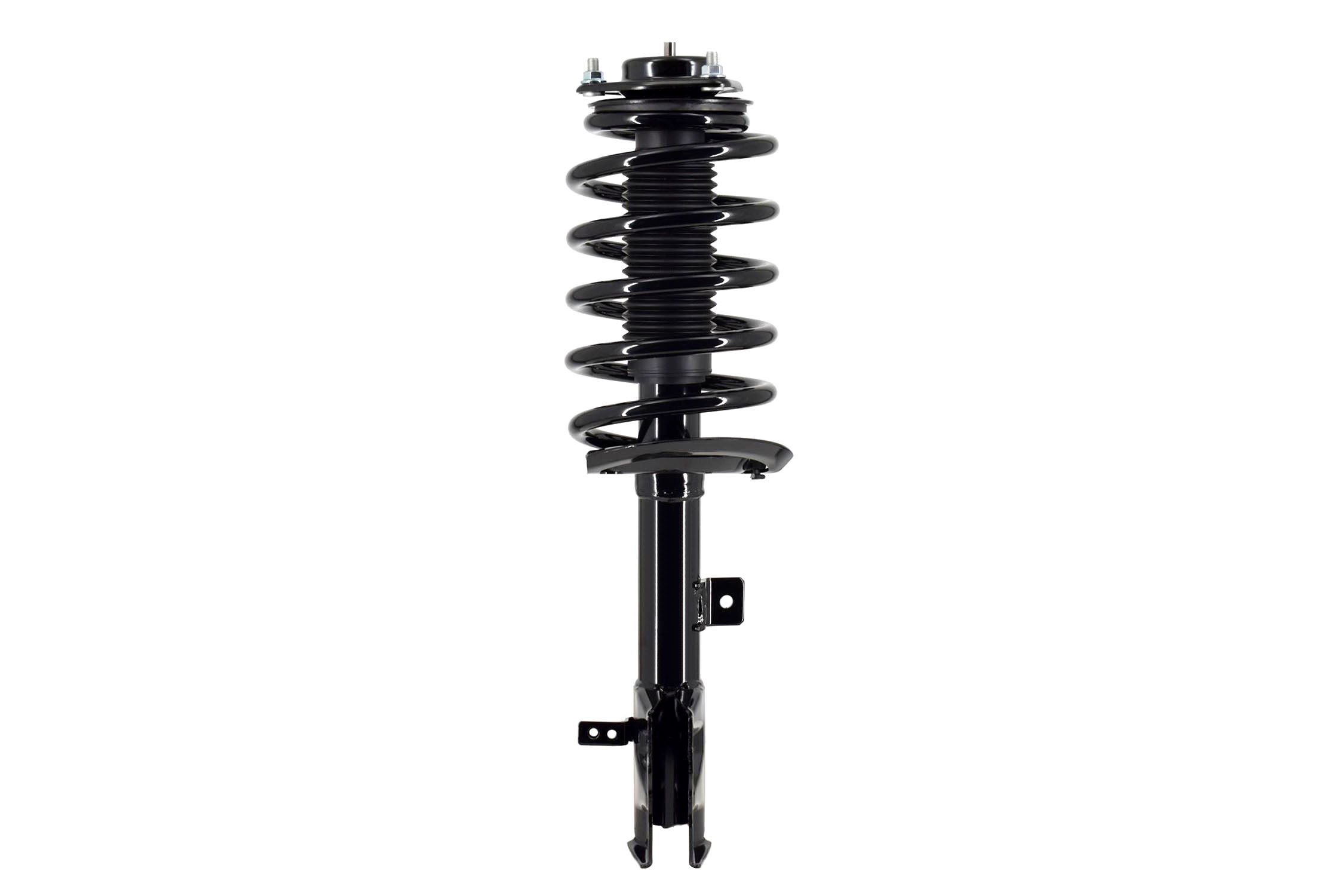 Suspension Strut and Coil Spring Assembly