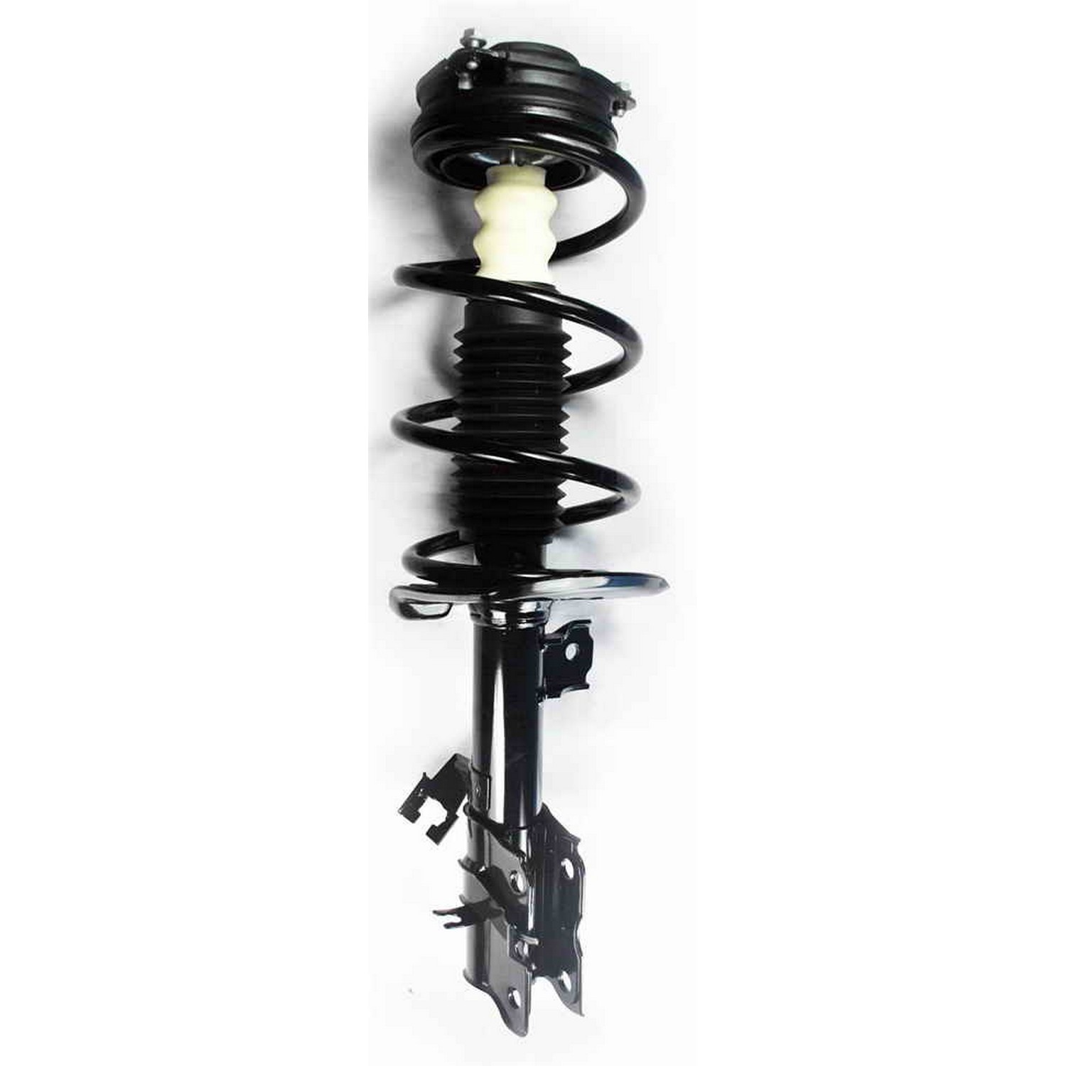 Suspension Strut and Coil Spring Assembly