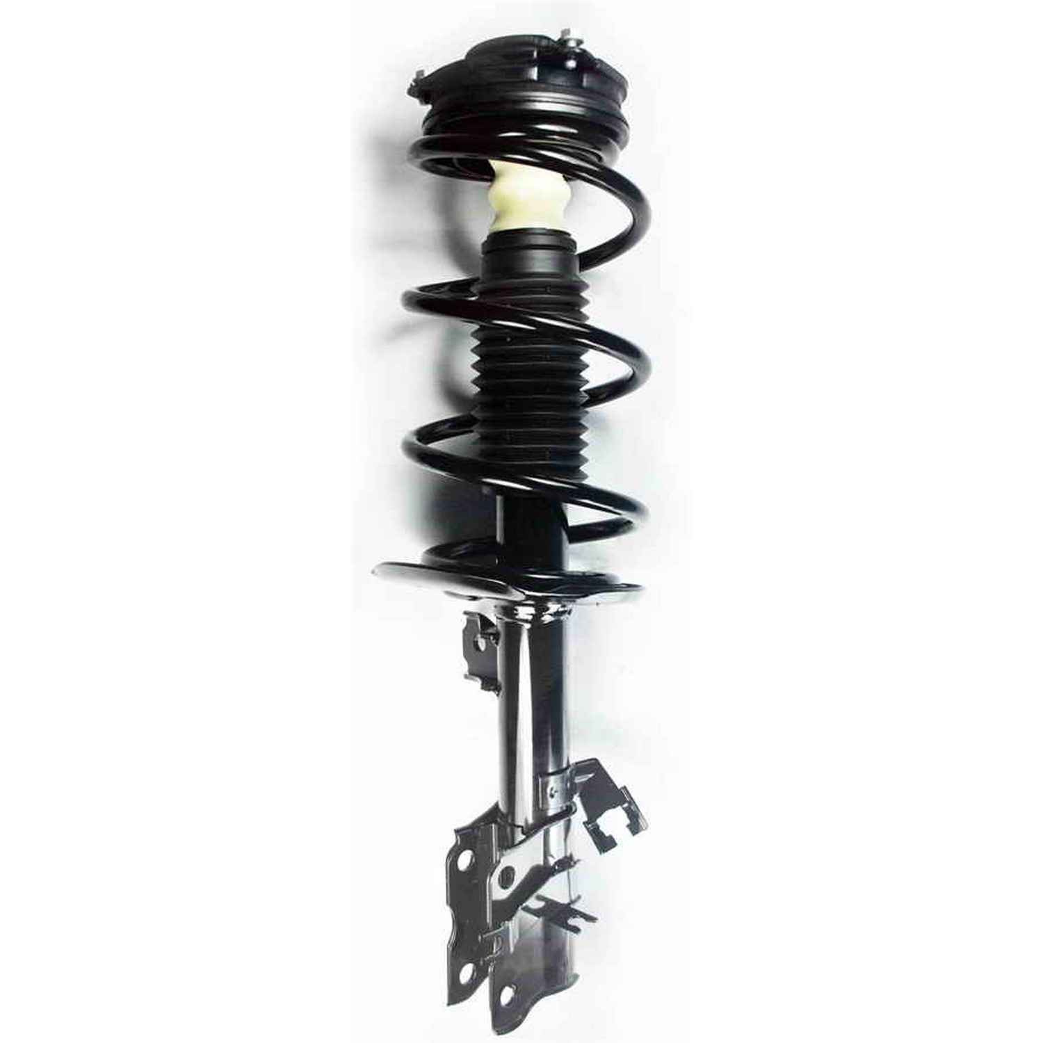 Suspension Strut and Coil Spring Assembly