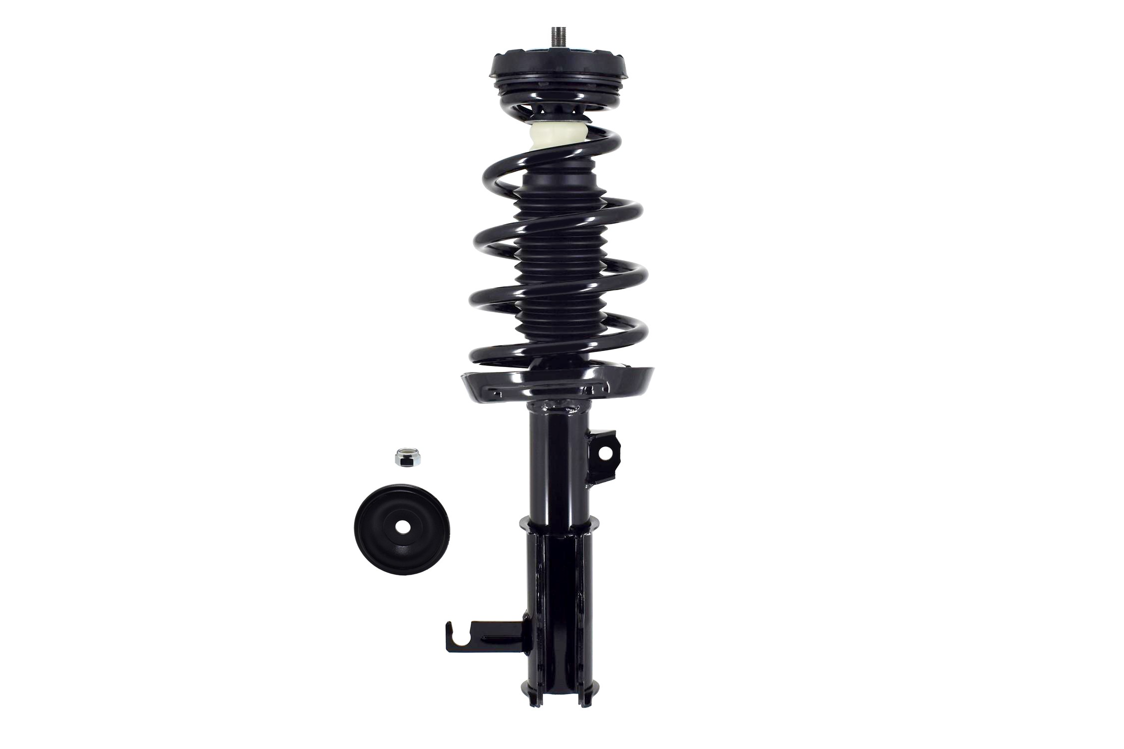 Suspension Strut and Coil Spring Assembly