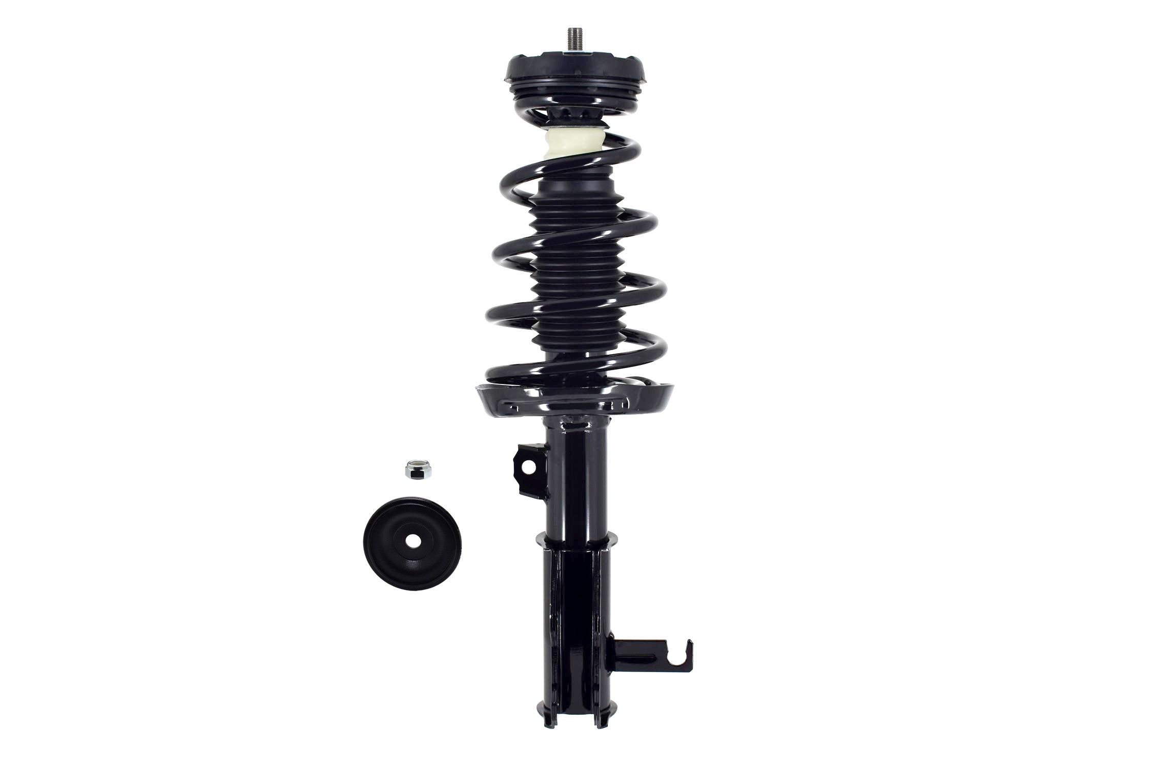 Suspension Strut and Coil Spring Assembly