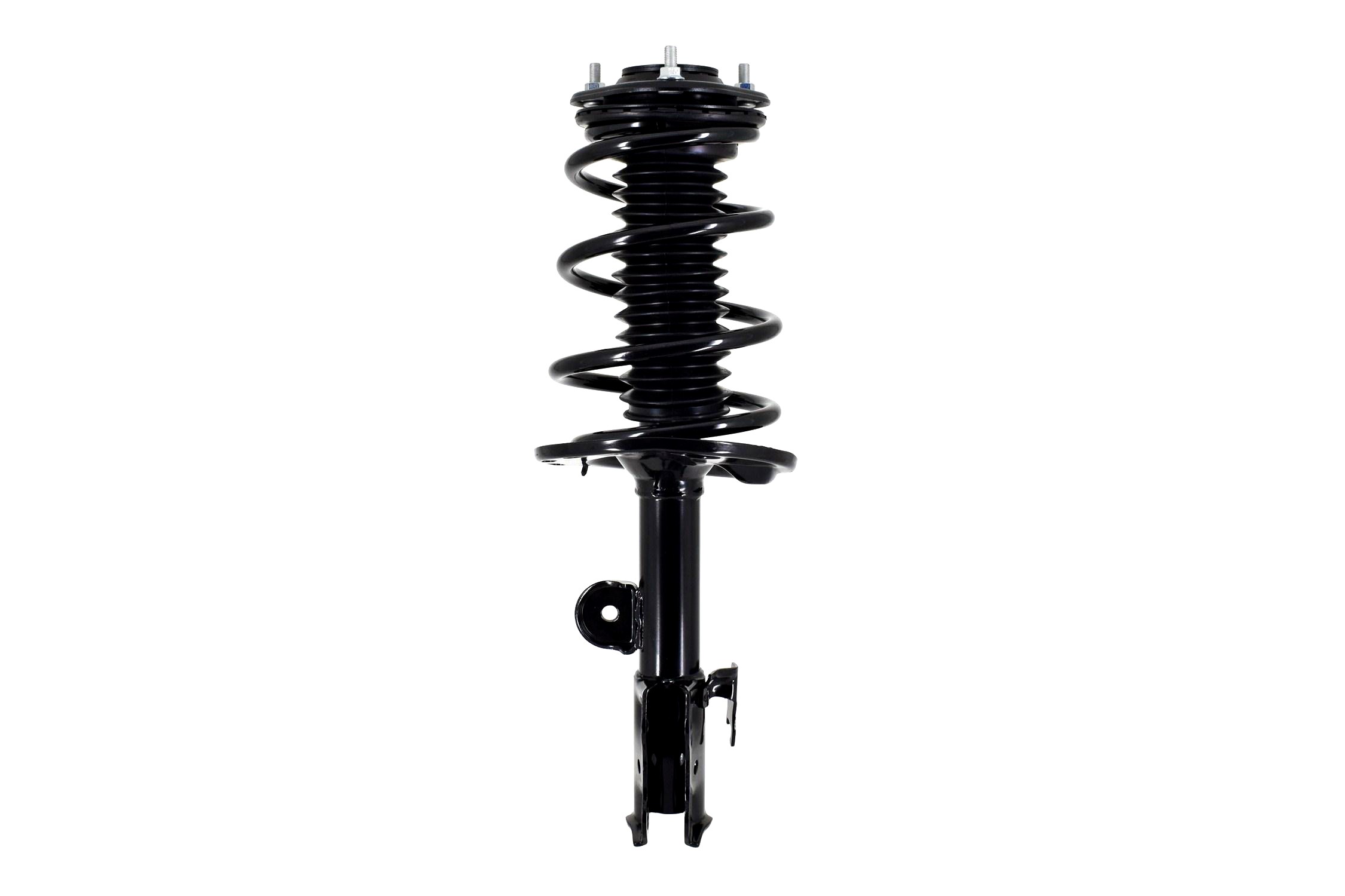 Suspension Strut and Coil Spring Assembly