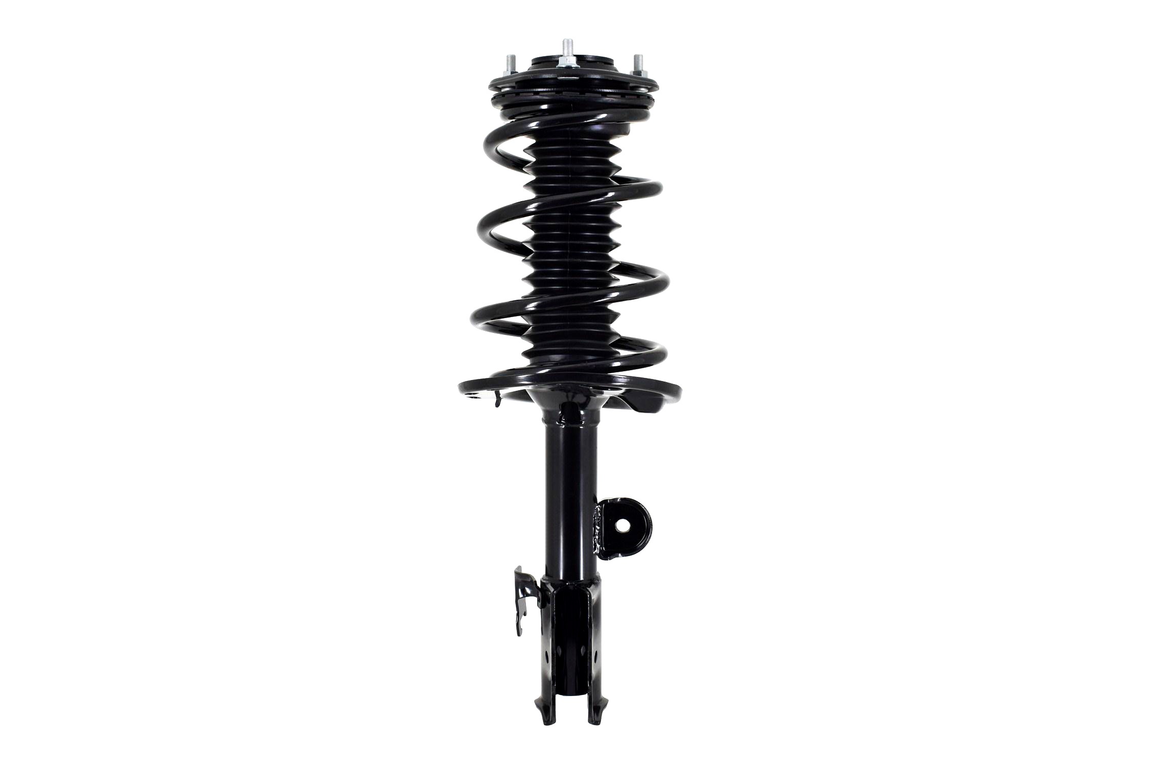 Suspension Strut and Coil Spring Assembly