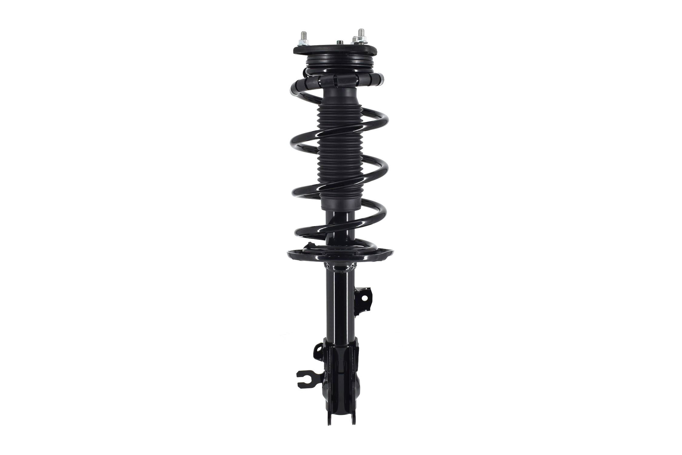 Suspension Strut and Coil Spring Assembly