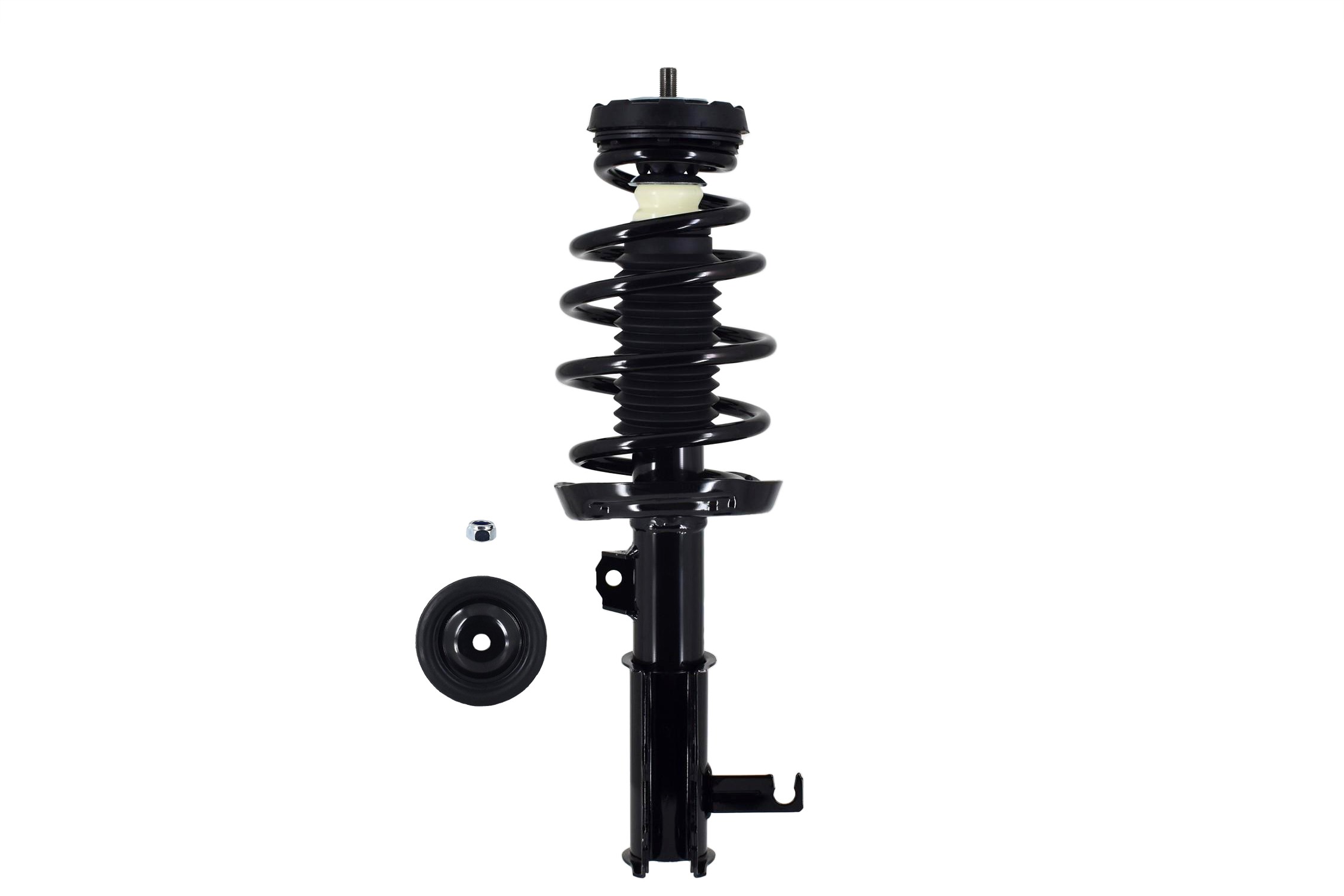 Suspension Strut and Coil Spring Assembly