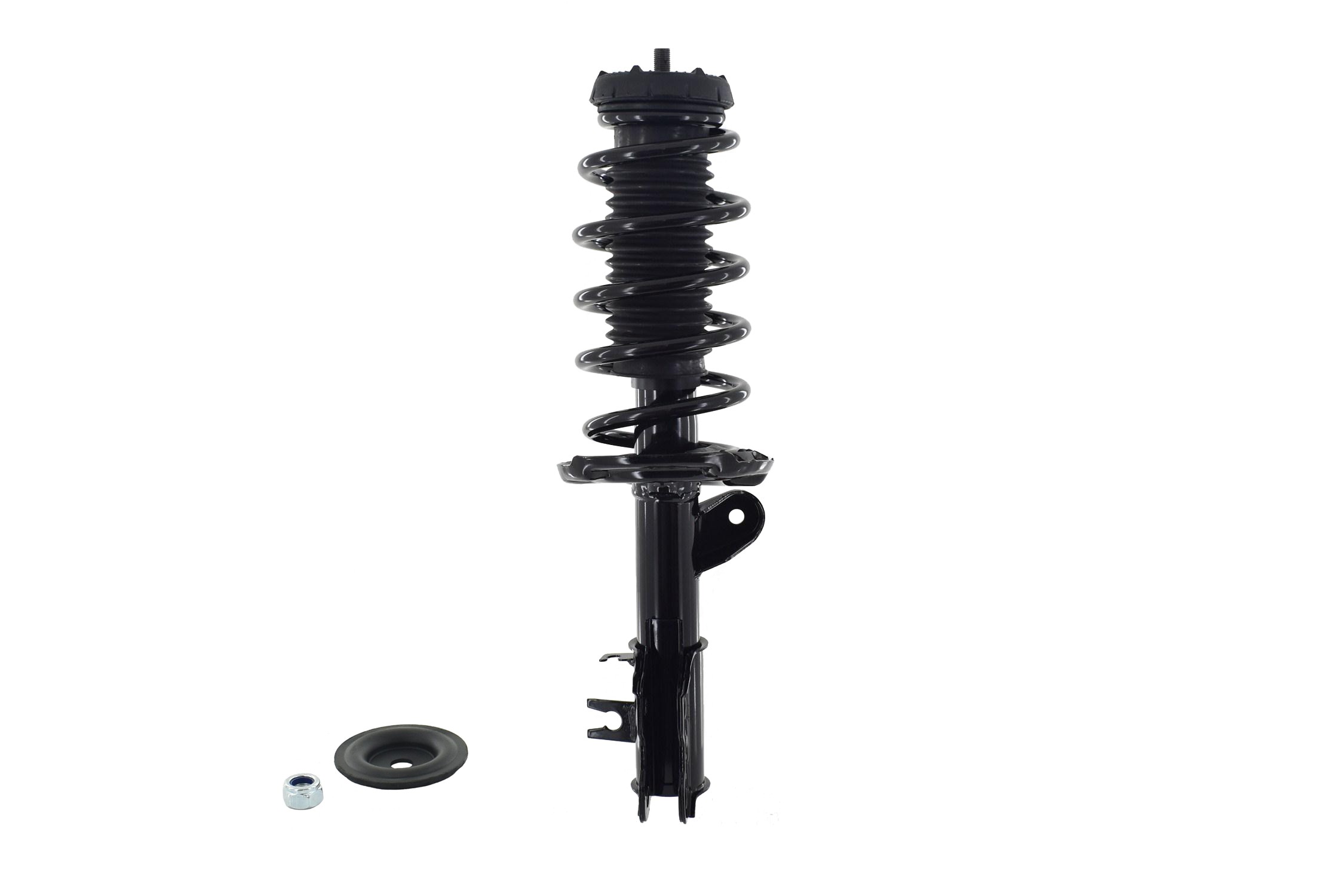 Suspension Strut and Coil Spring Assembly