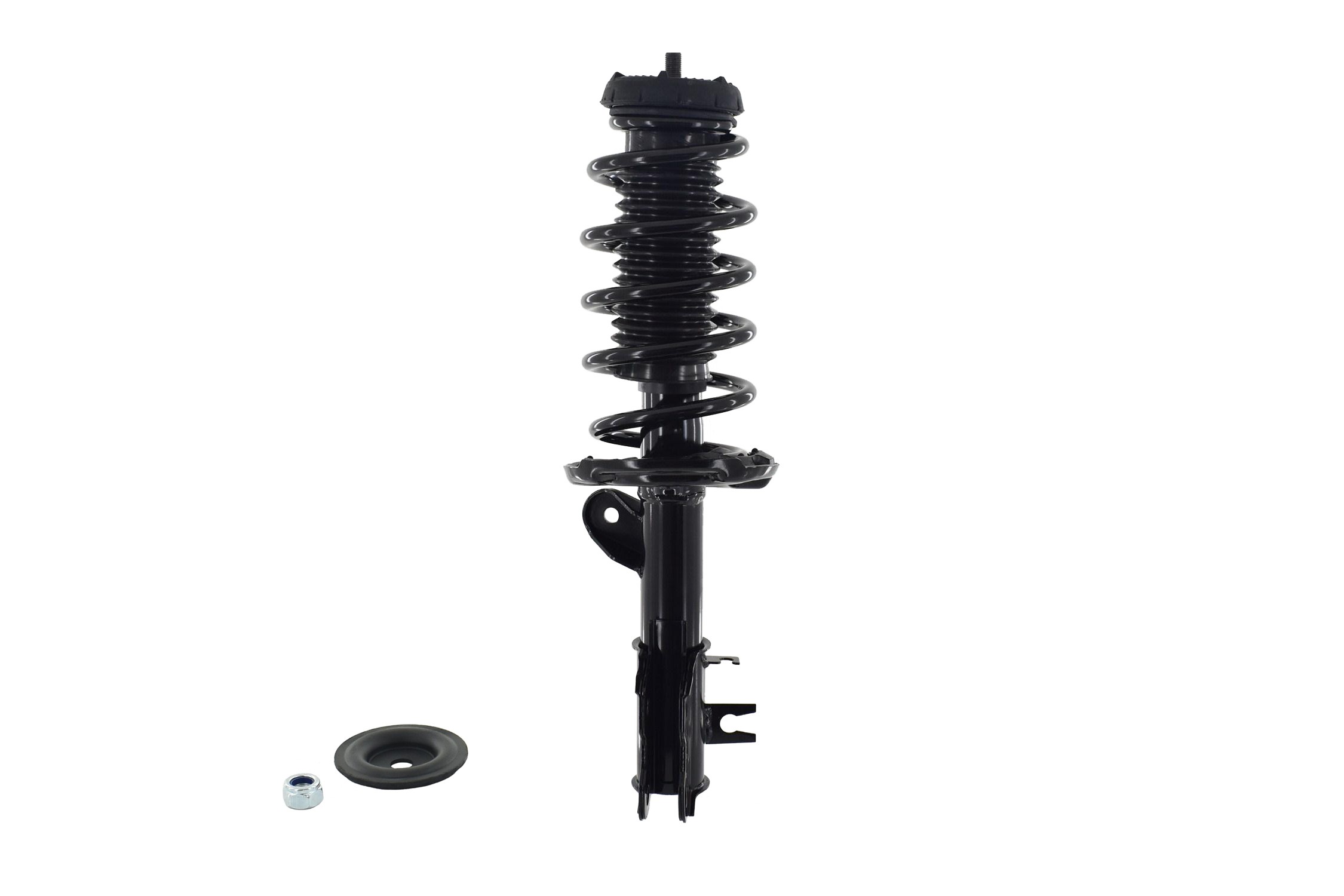 Suspension Strut and Coil Spring Assembly
