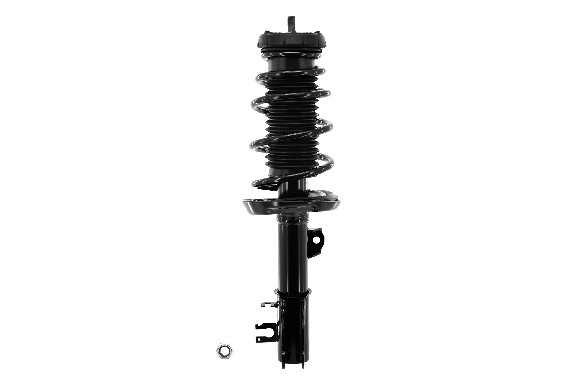 Suspension Strut and Coil Spring Assembly