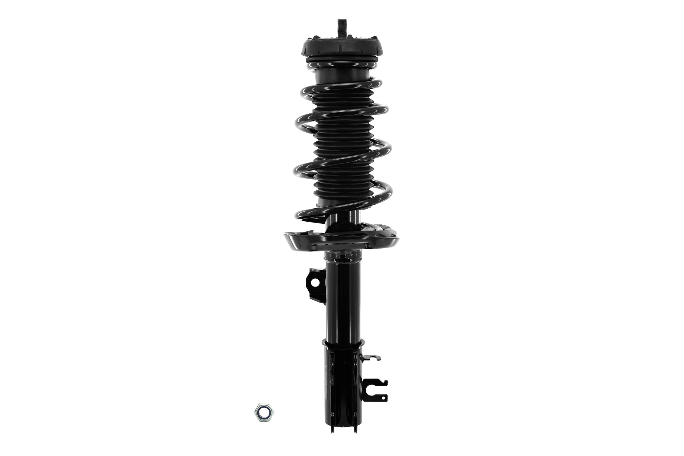 Suspension Strut and Coil Spring Assembly