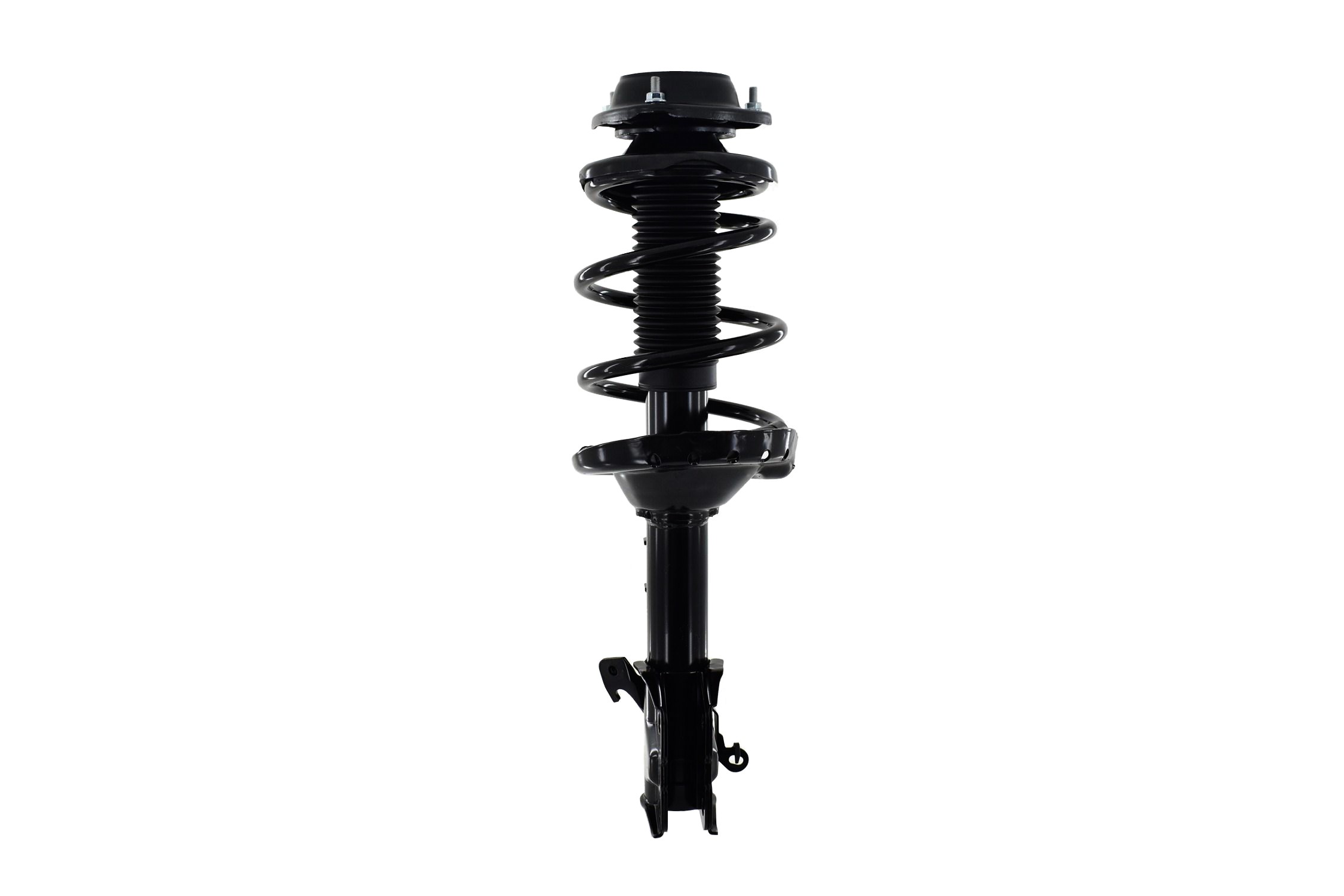 Suspension Strut and Coil Spring Assembly