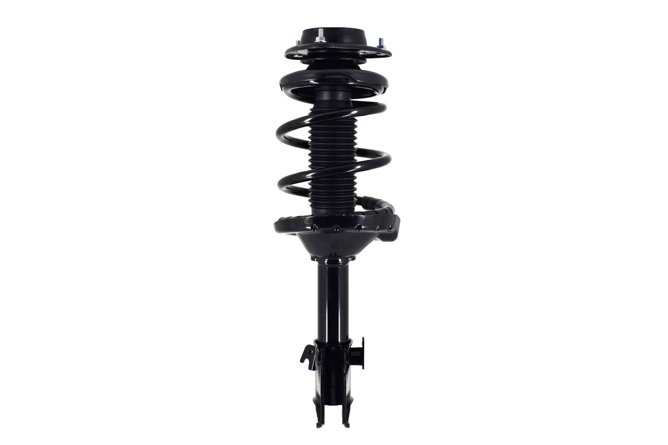 Suspension Strut and Coil Spring Assembly