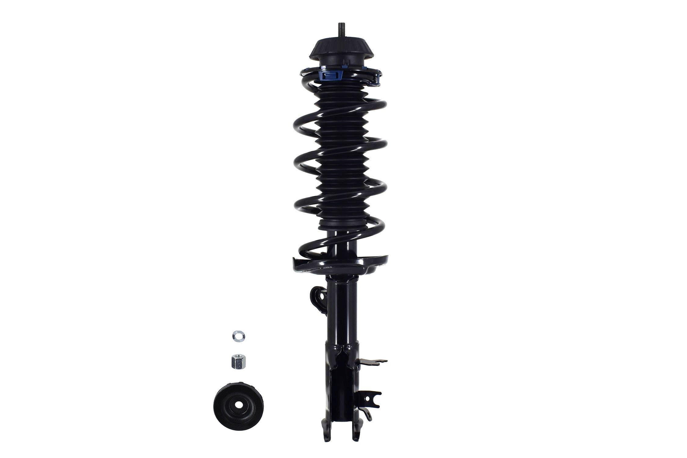 Suspension Strut and Coil Spring Assembly