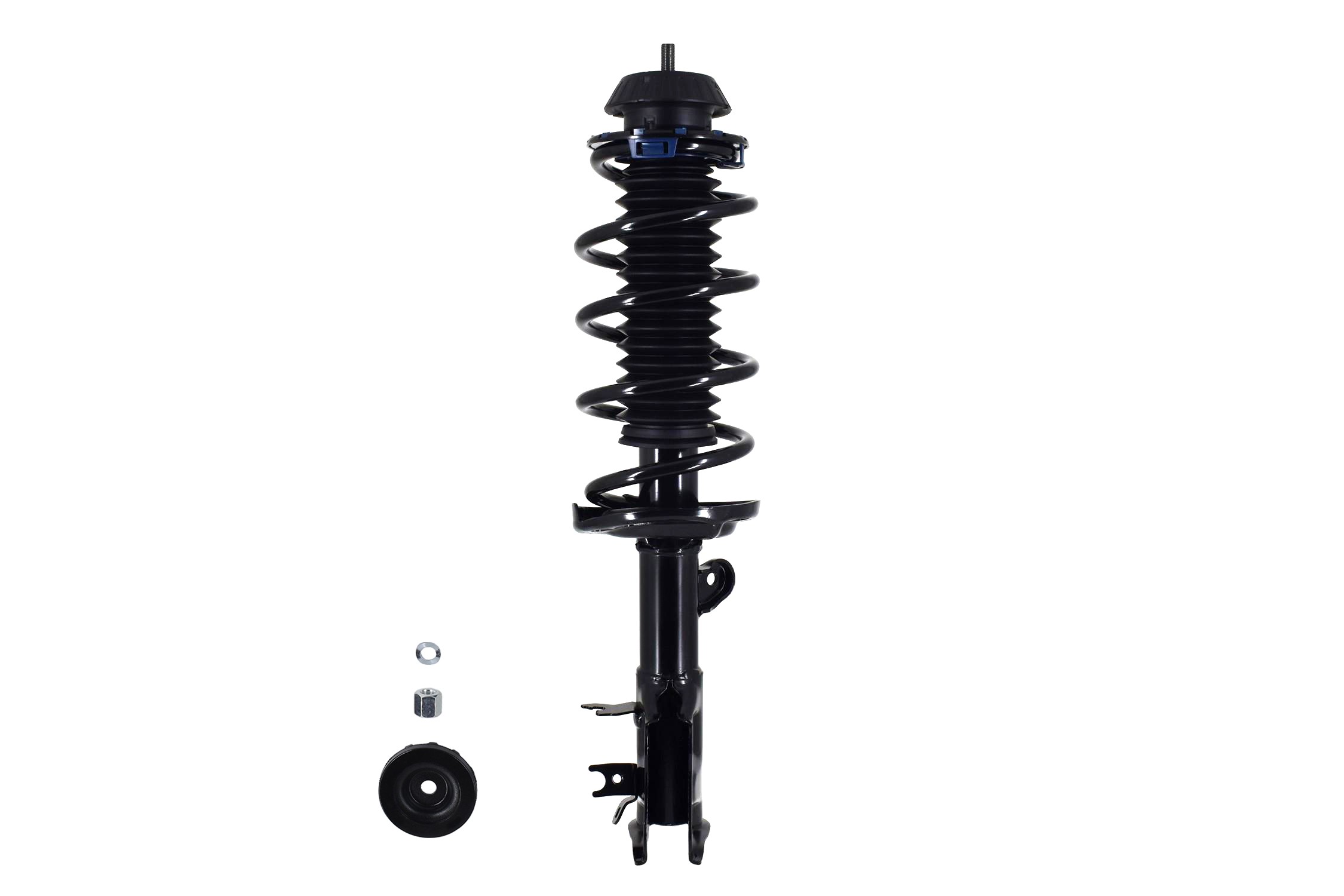 Suspension Strut and Coil Spring Assembly