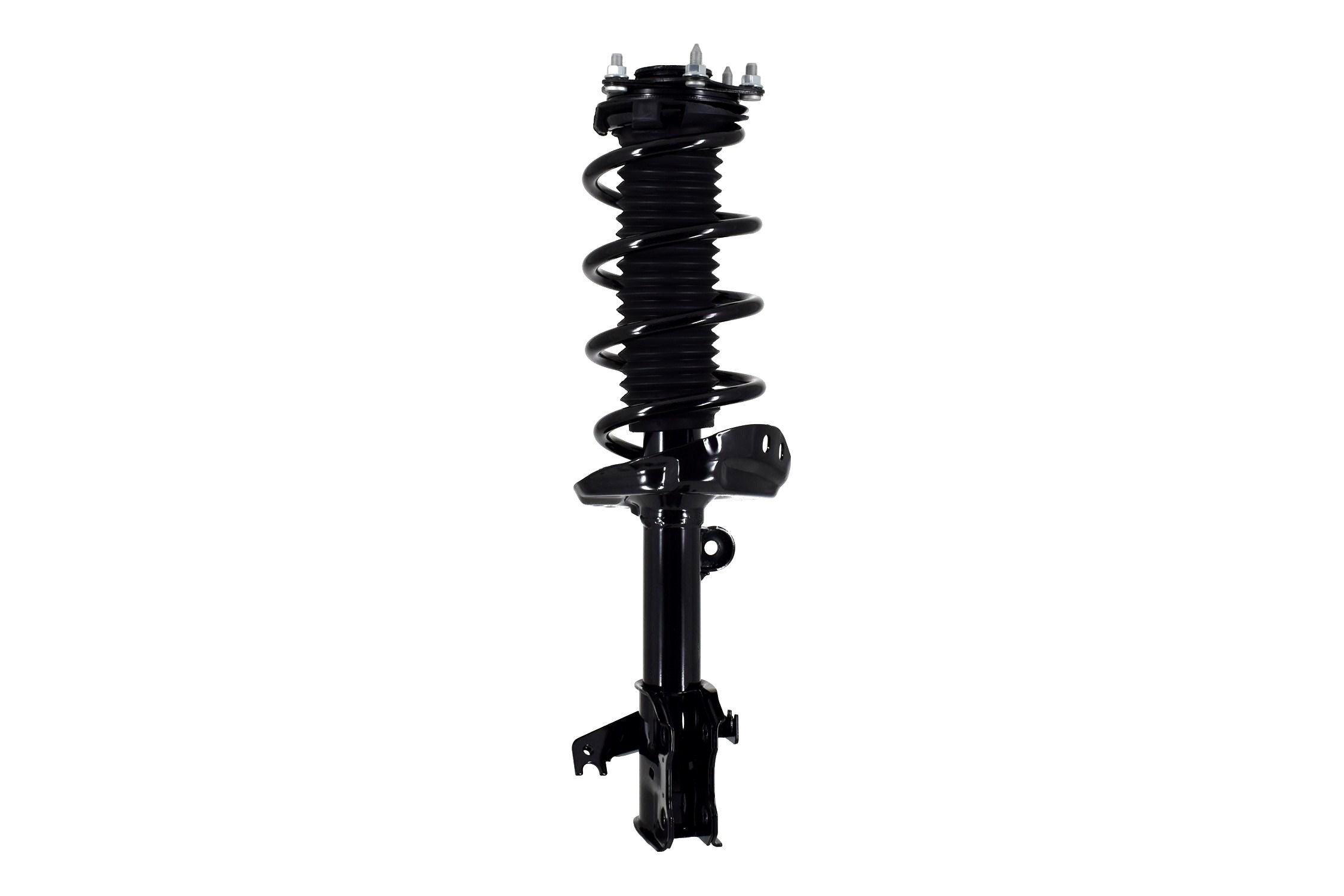 Suspension Strut and Coil Spring Assembly