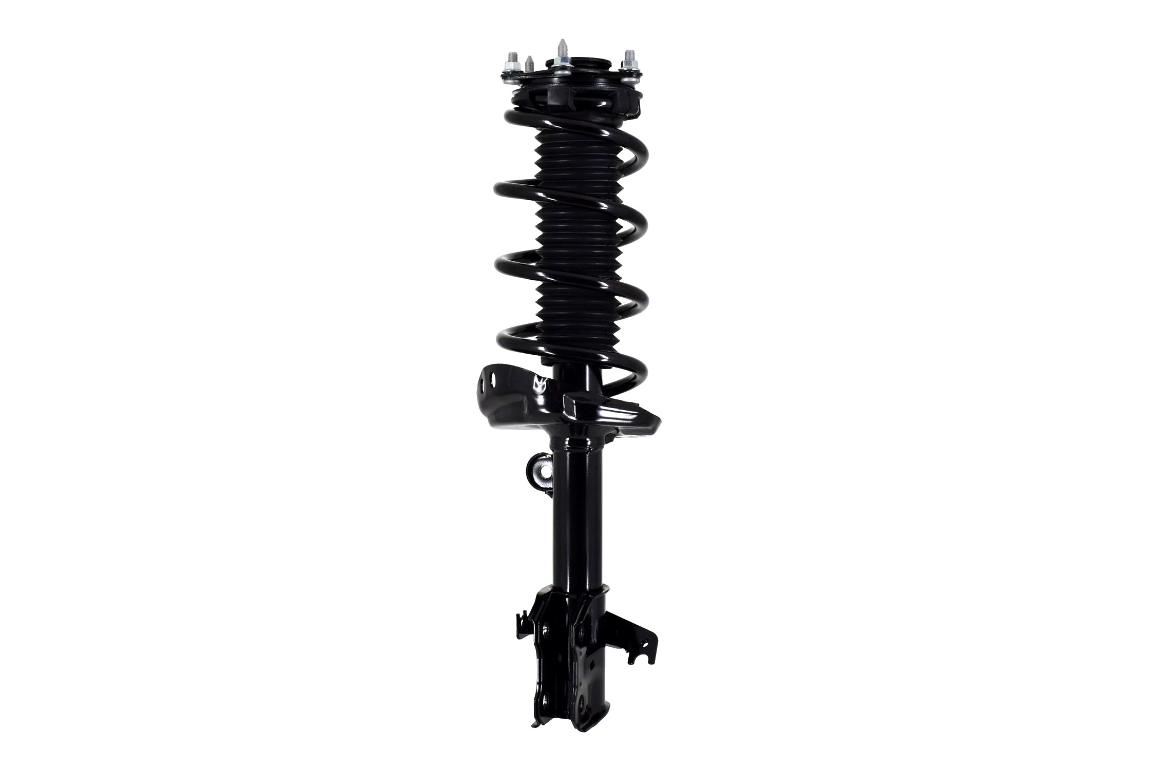 Suspension Strut and Coil Spring Assembly