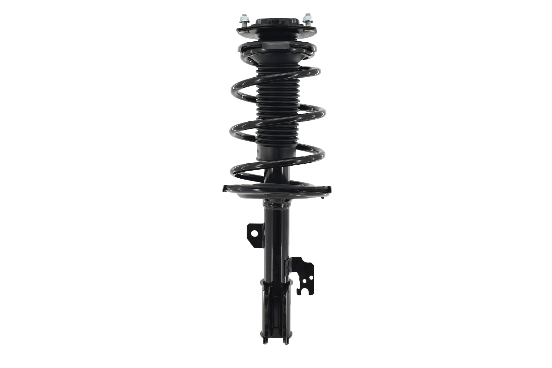 Suspension Strut and Coil Spring Assembly