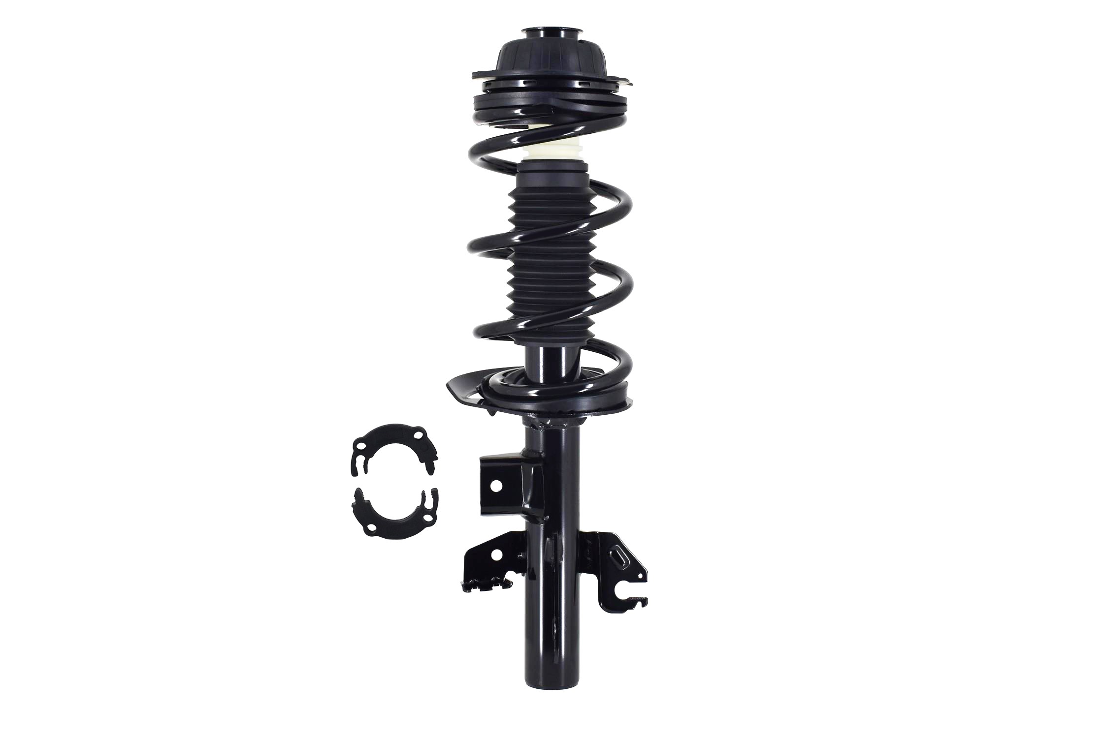 Suspension Strut and Coil Spring Assembly