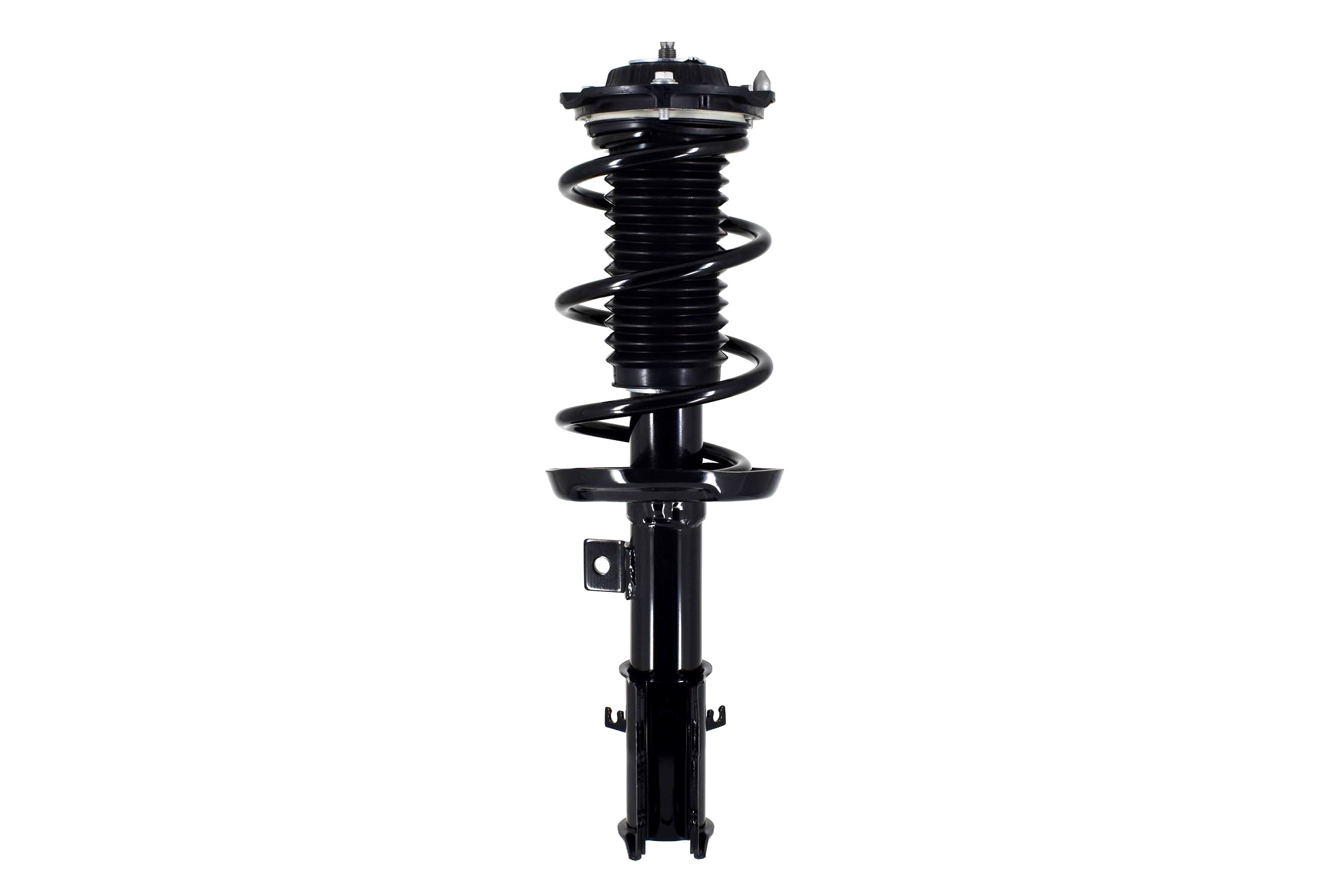 Suspension Strut and Coil Spring Assembly