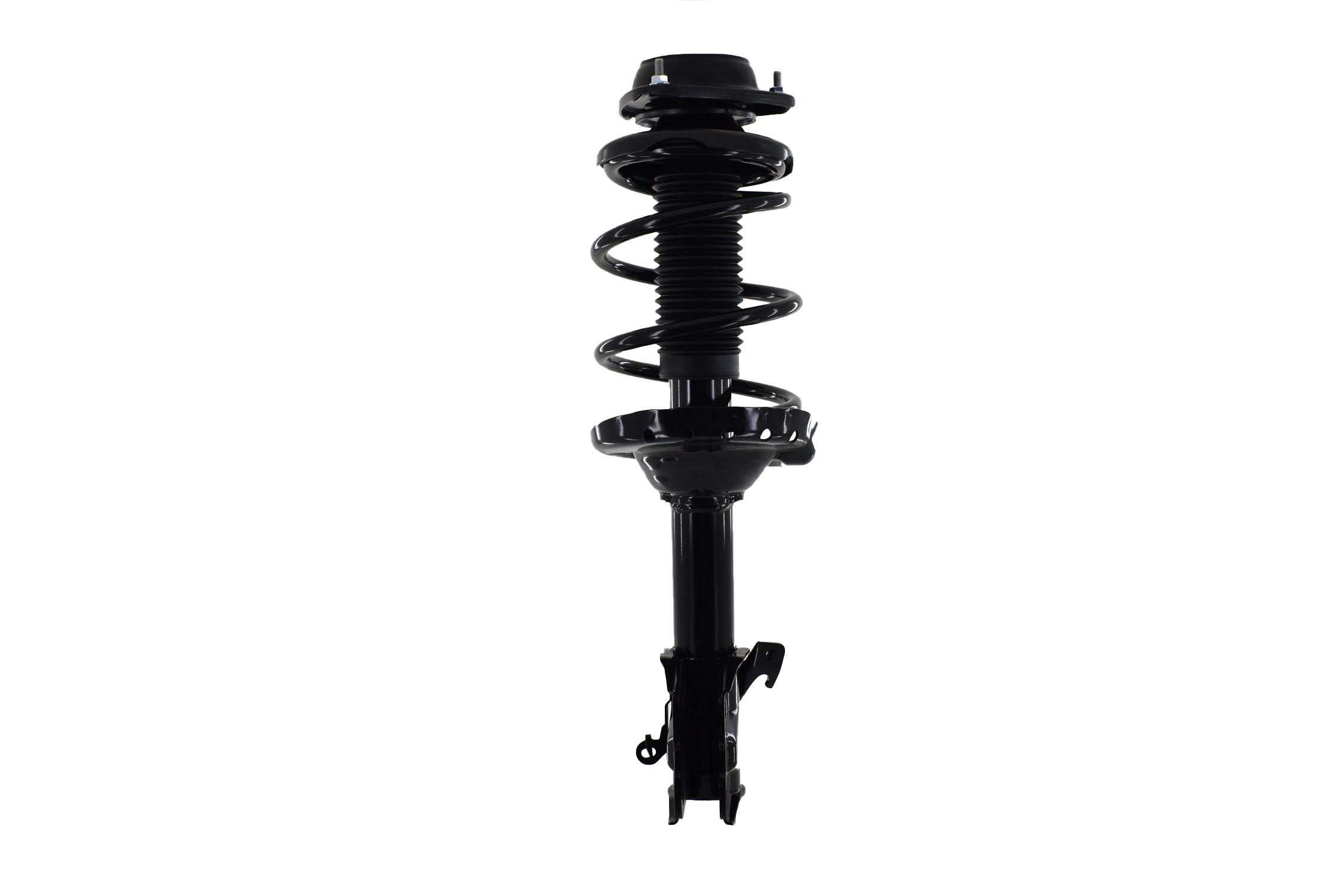 Suspension Strut and Coil Spring Assembly