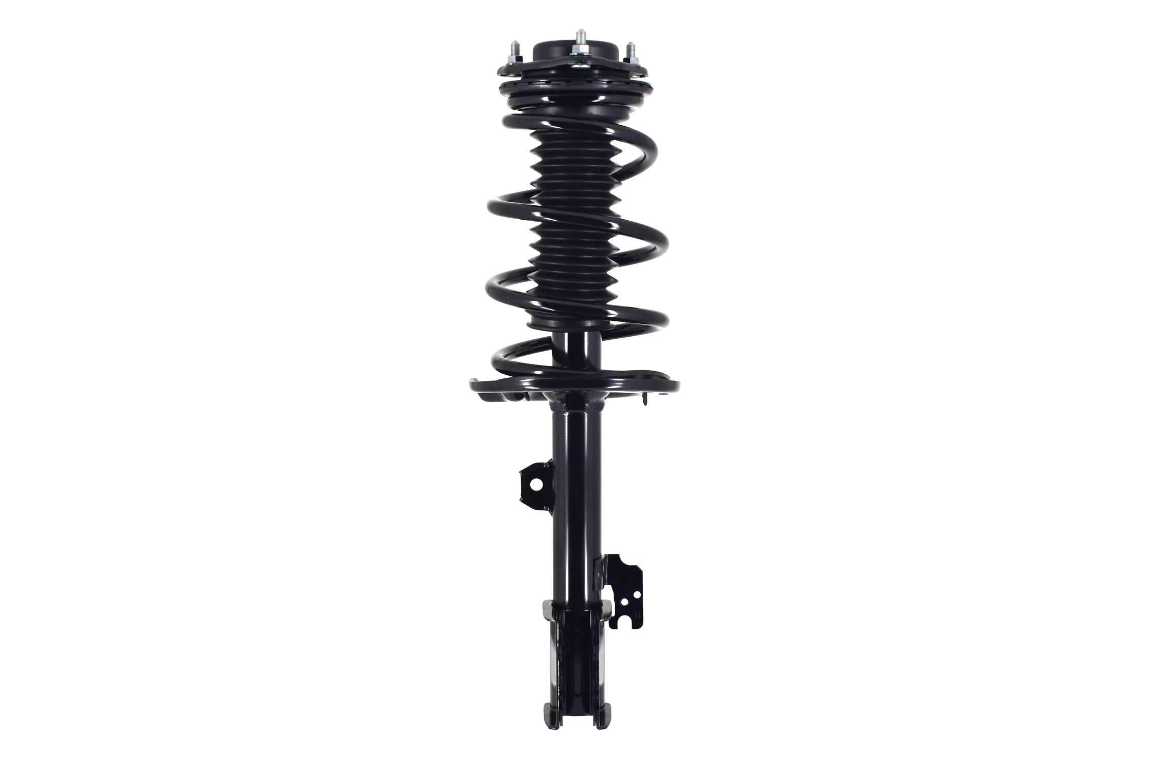 Suspension Strut and Coil Spring Assembly