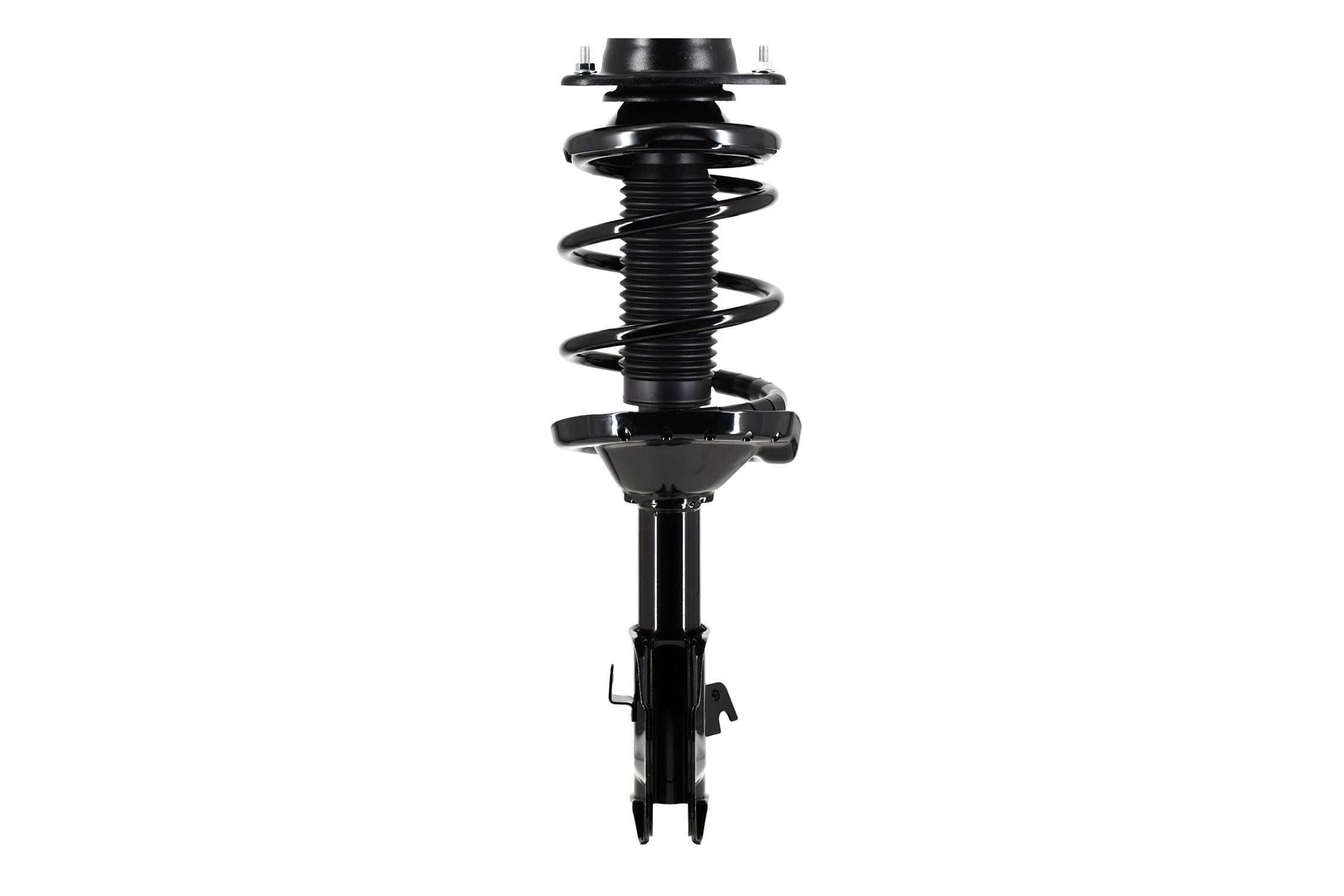 Suspension Strut and Coil Spring Assembly