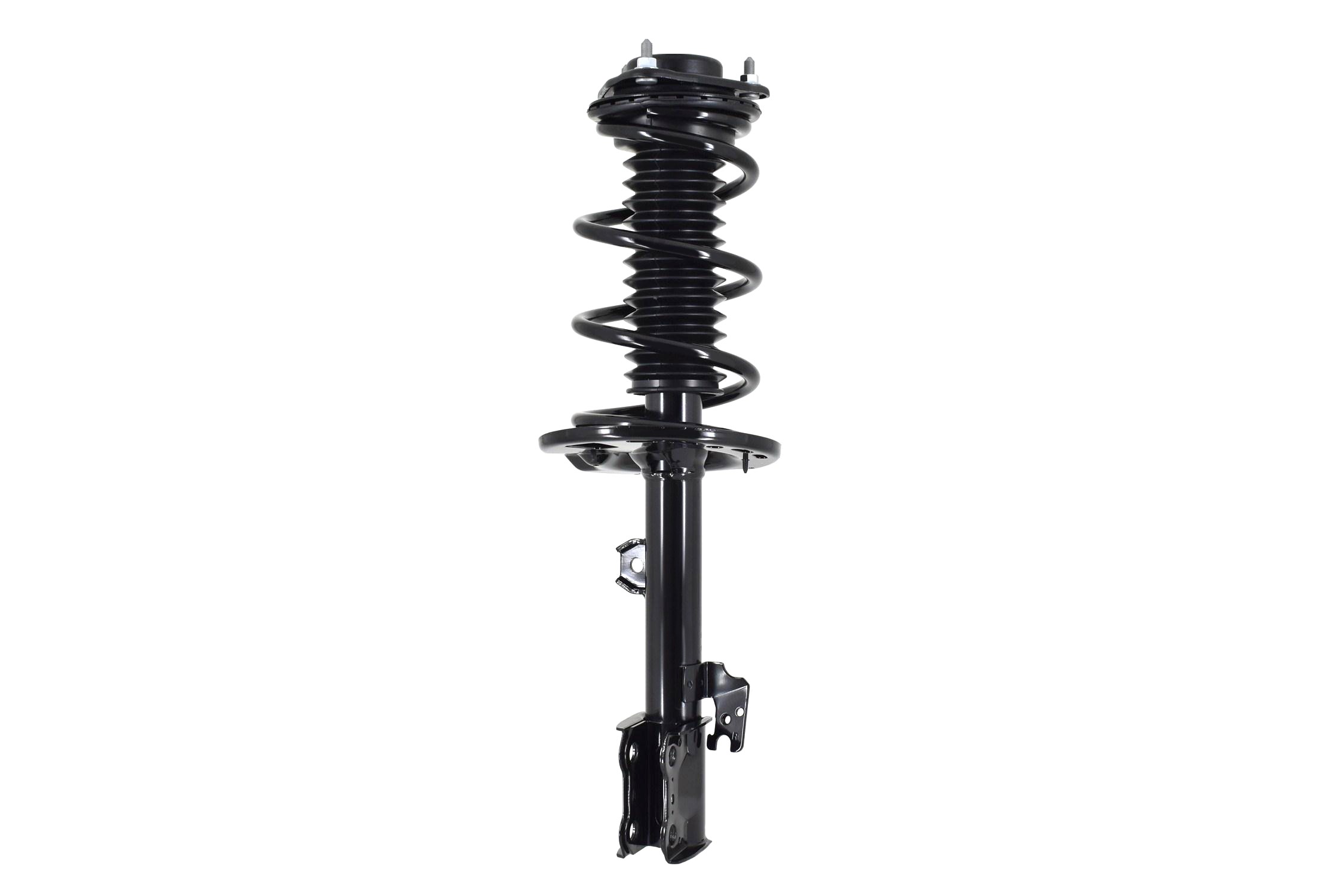 Suspension Strut and Coil Spring Assembly