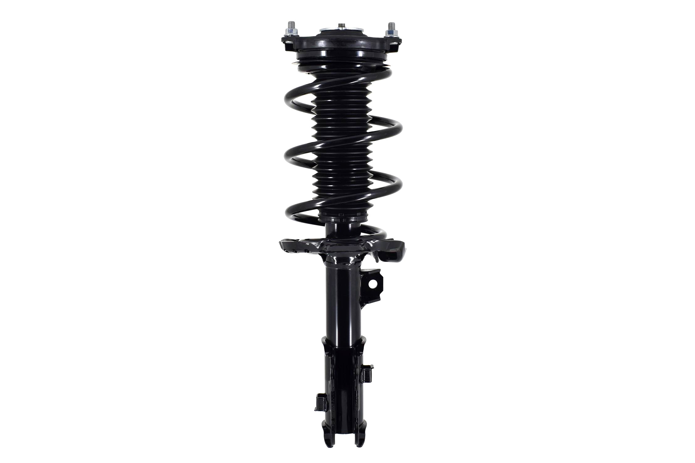 Suspension Strut and Coil Spring Assembly