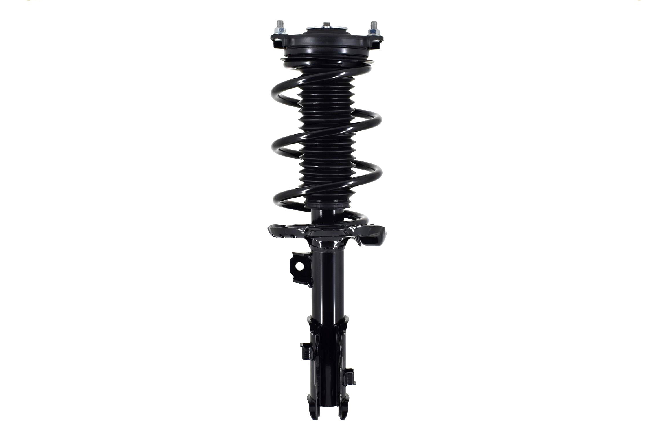 Suspension Strut and Coil Spring Assembly