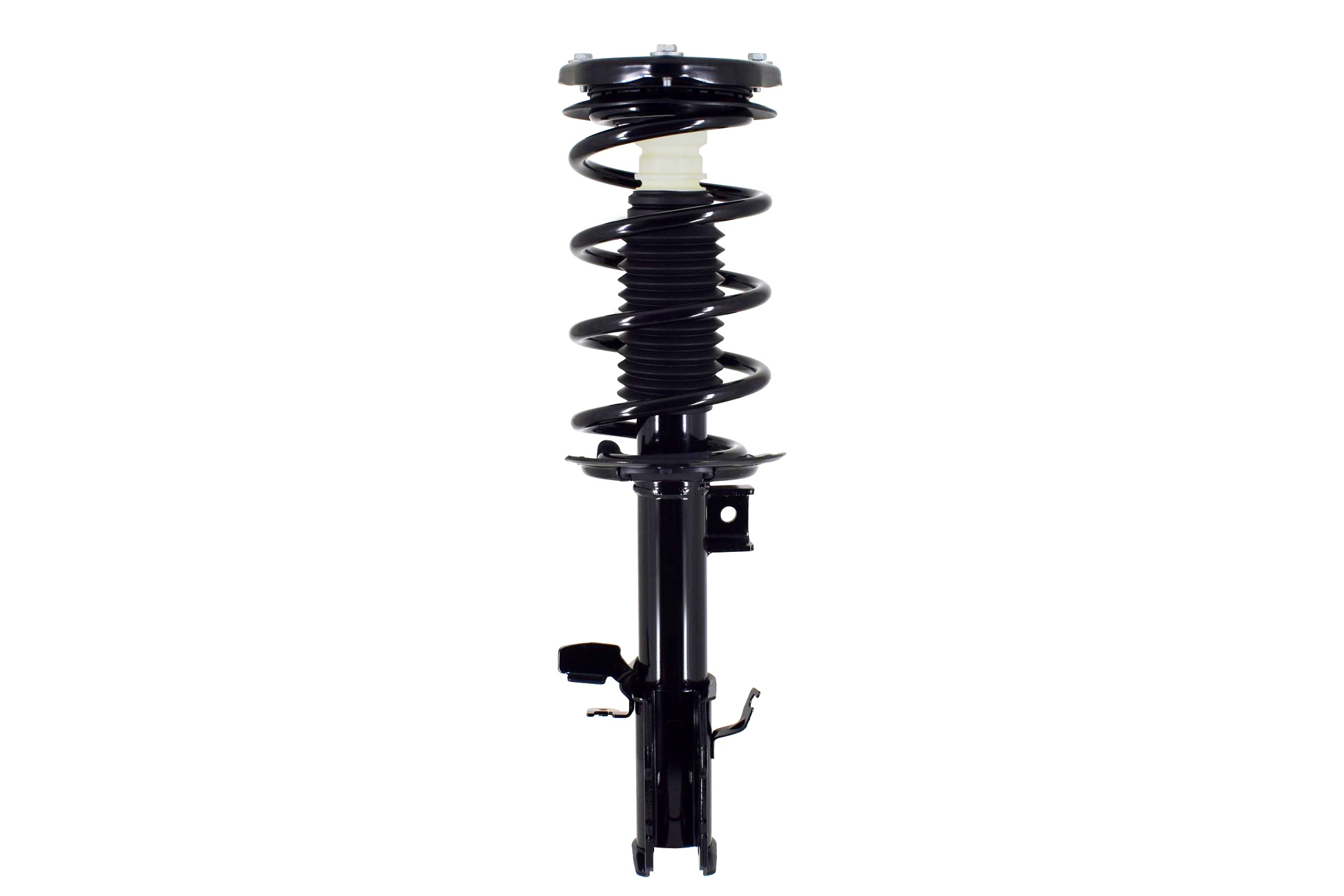 Suspension Strut and Coil Spring Assembly