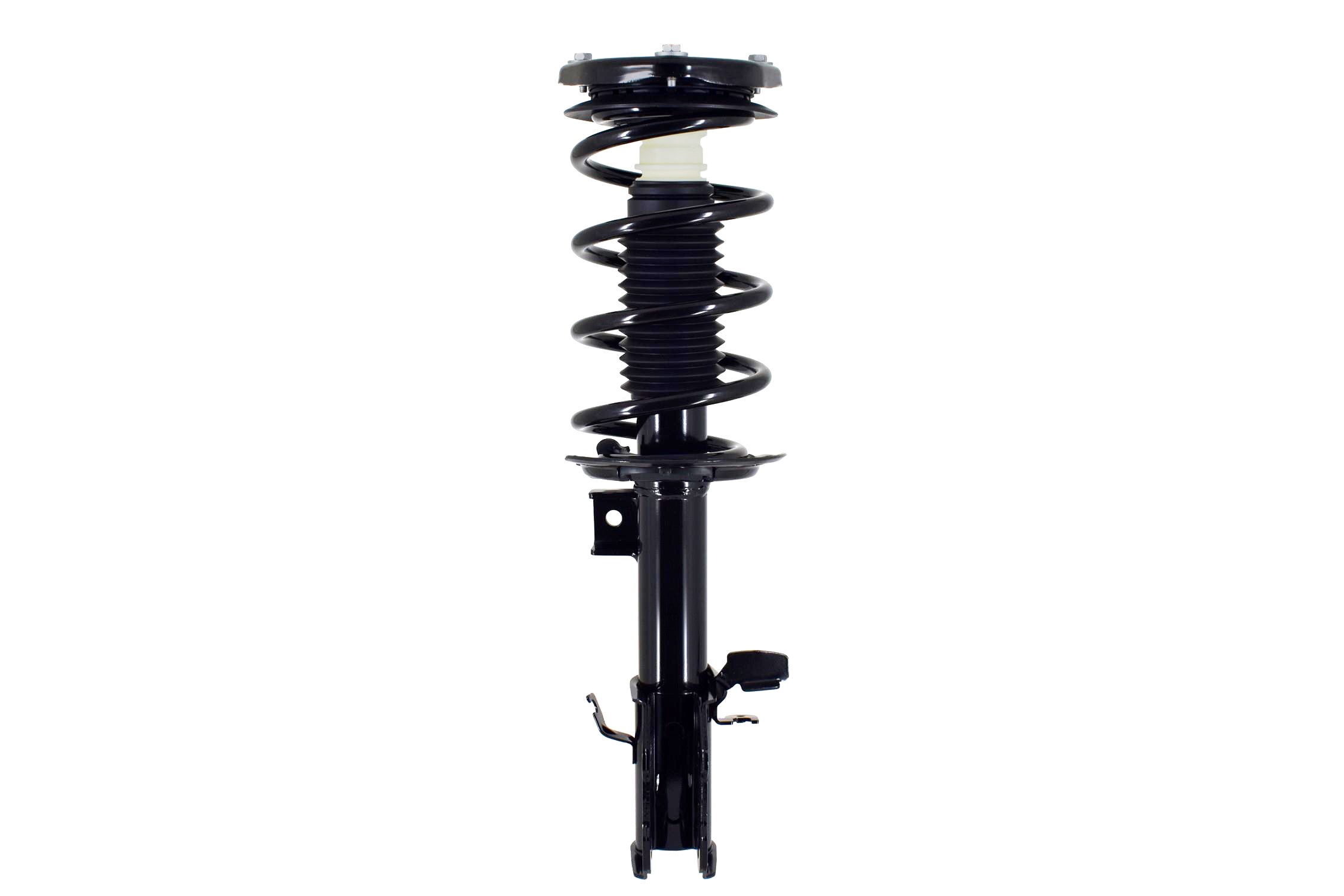Suspension Strut and Coil Spring Assembly