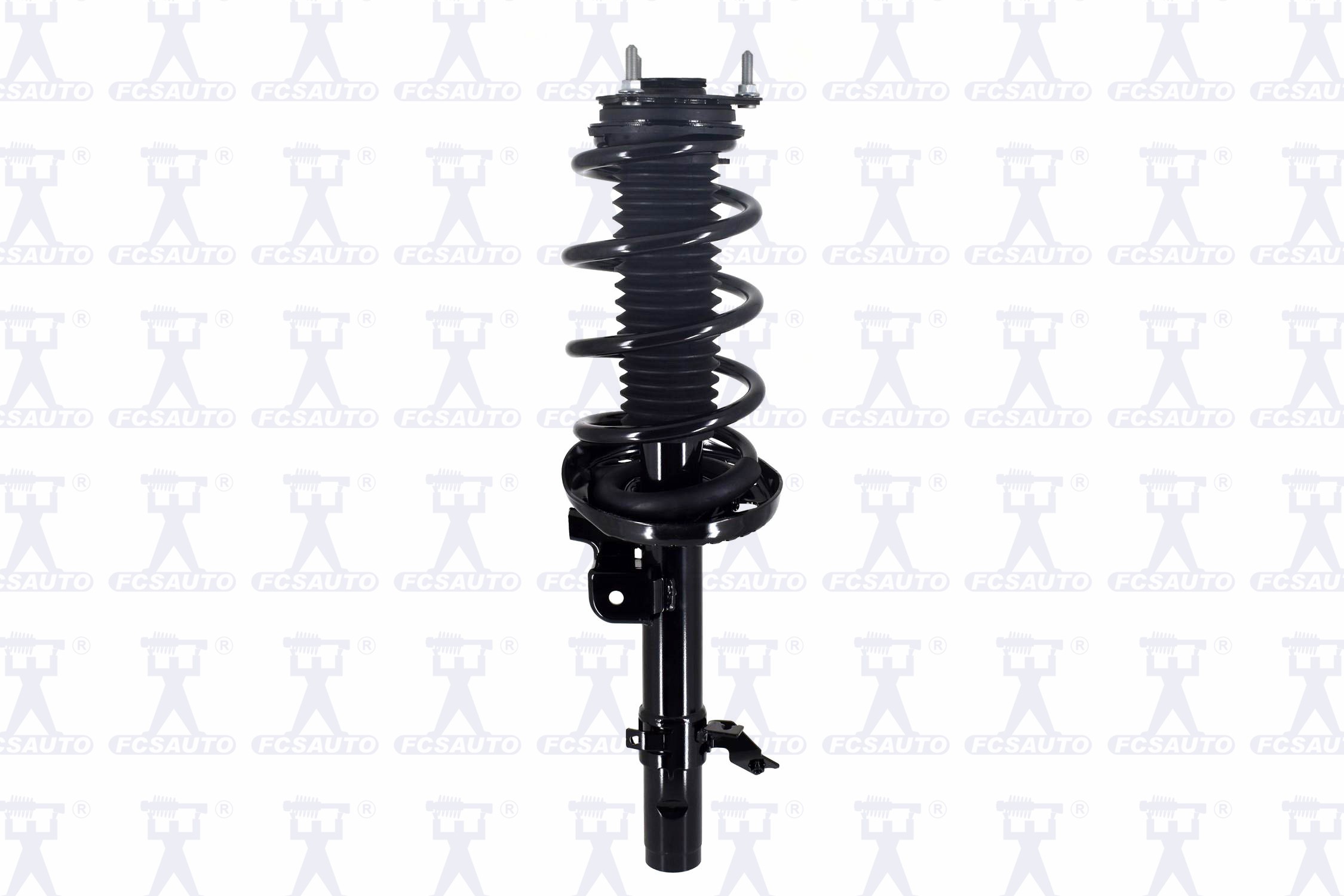 Suspension Strut and Coil Spring Assembly