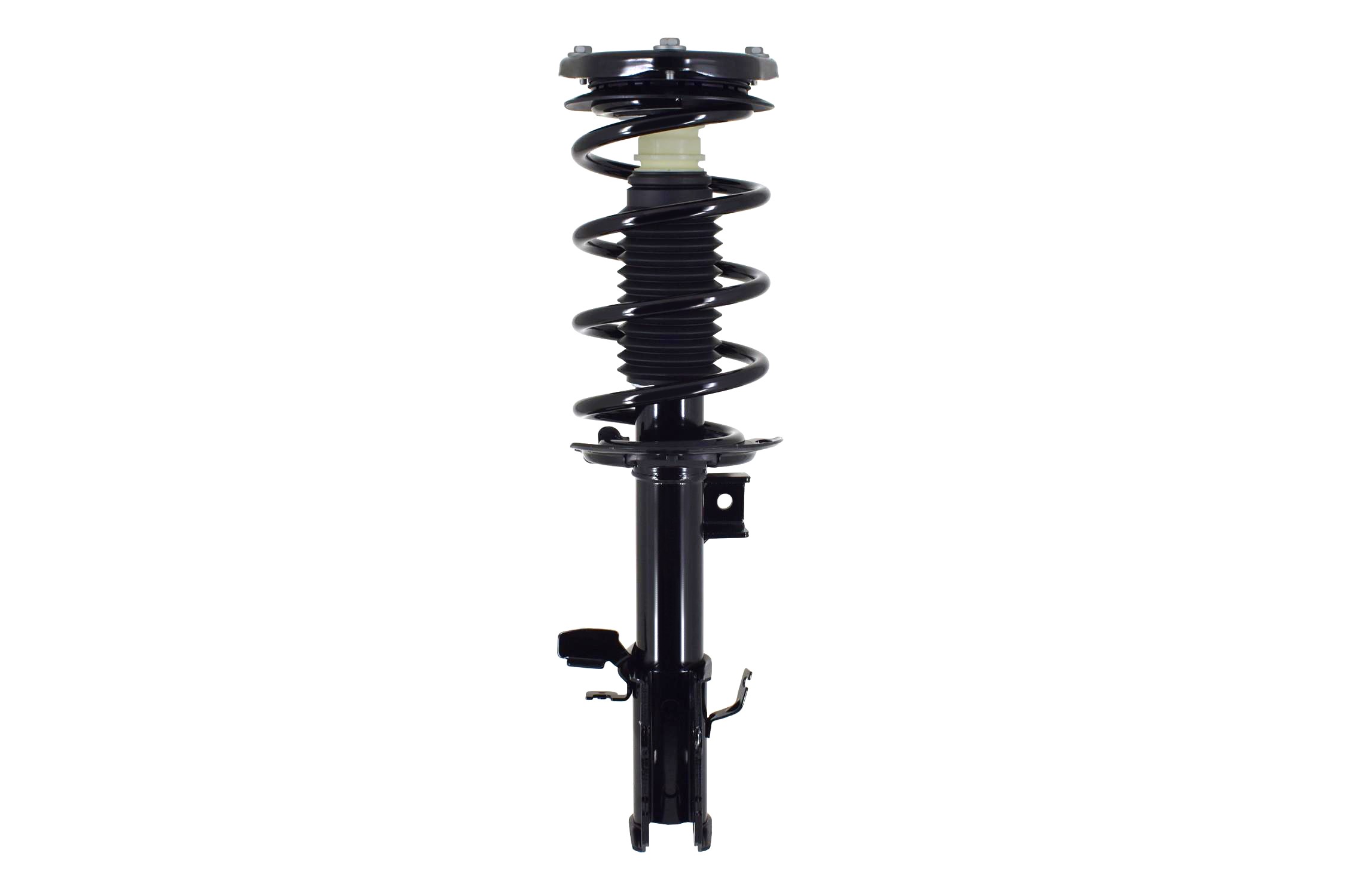 Suspension Strut and Coil Spring Assembly