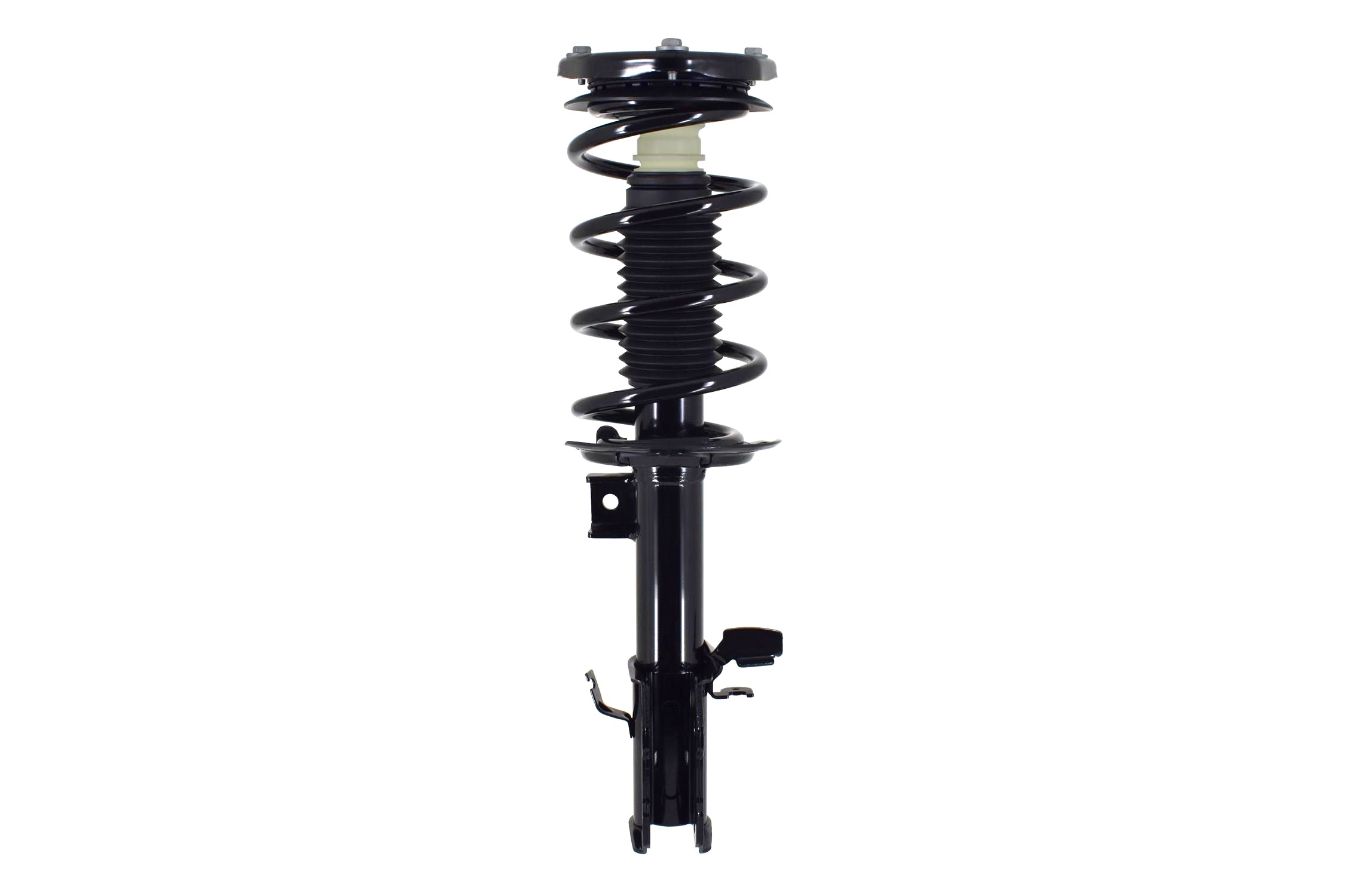 Suspension Strut and Coil Spring Assembly