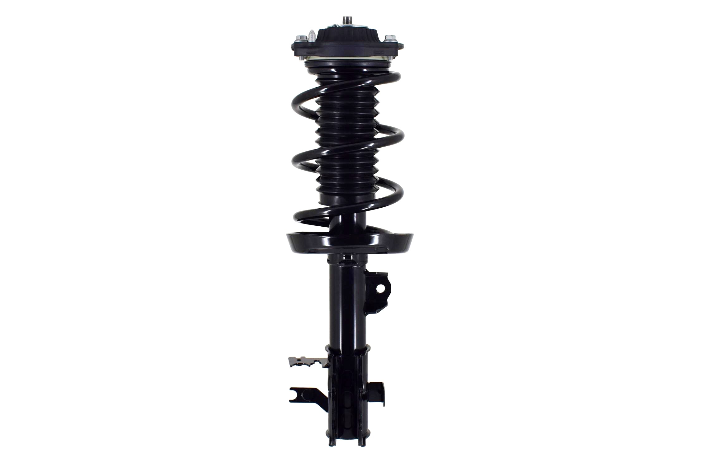 Suspension Strut and Coil Spring Assembly