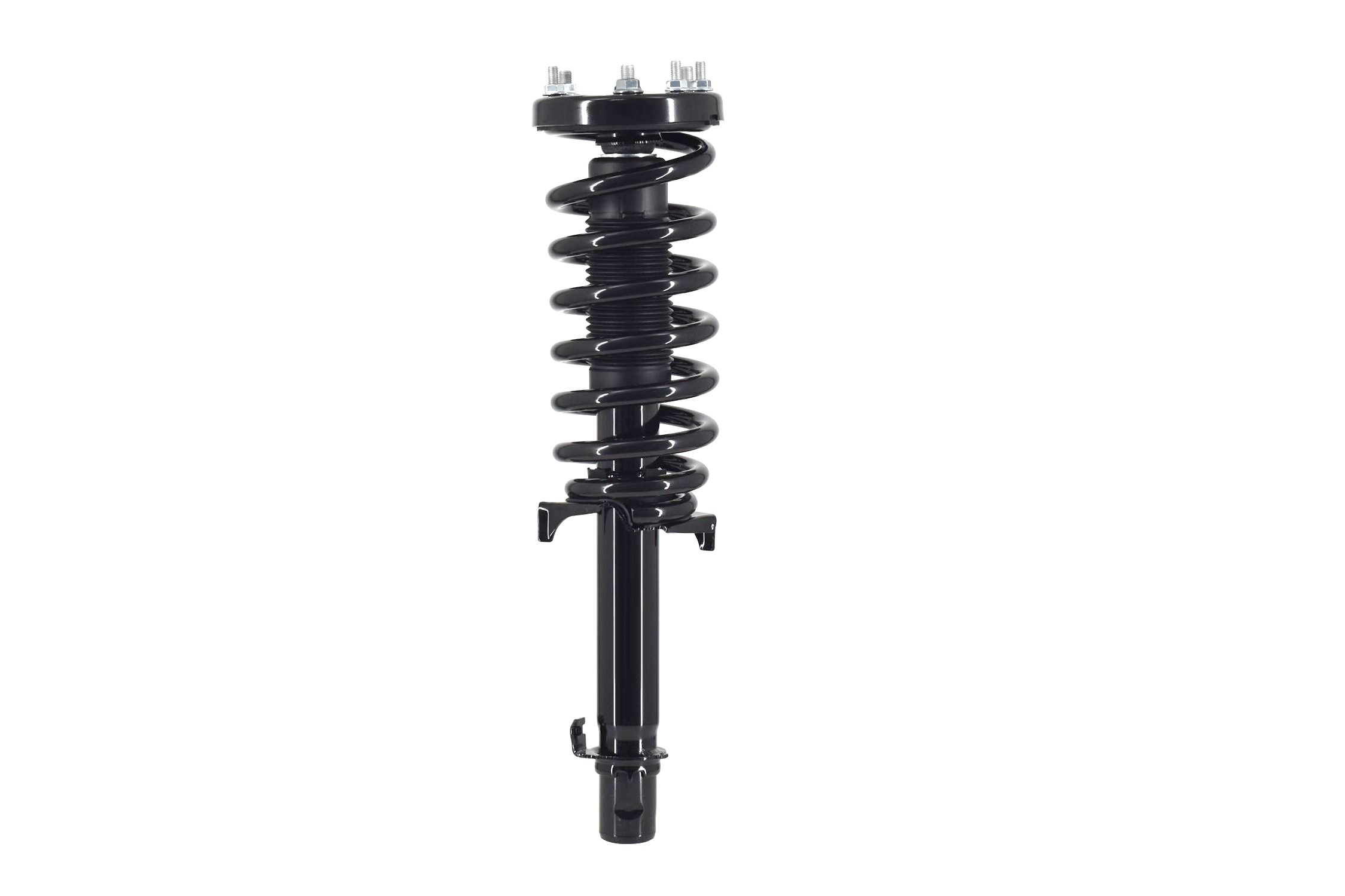 Suspension Strut and Coil Spring Assembly