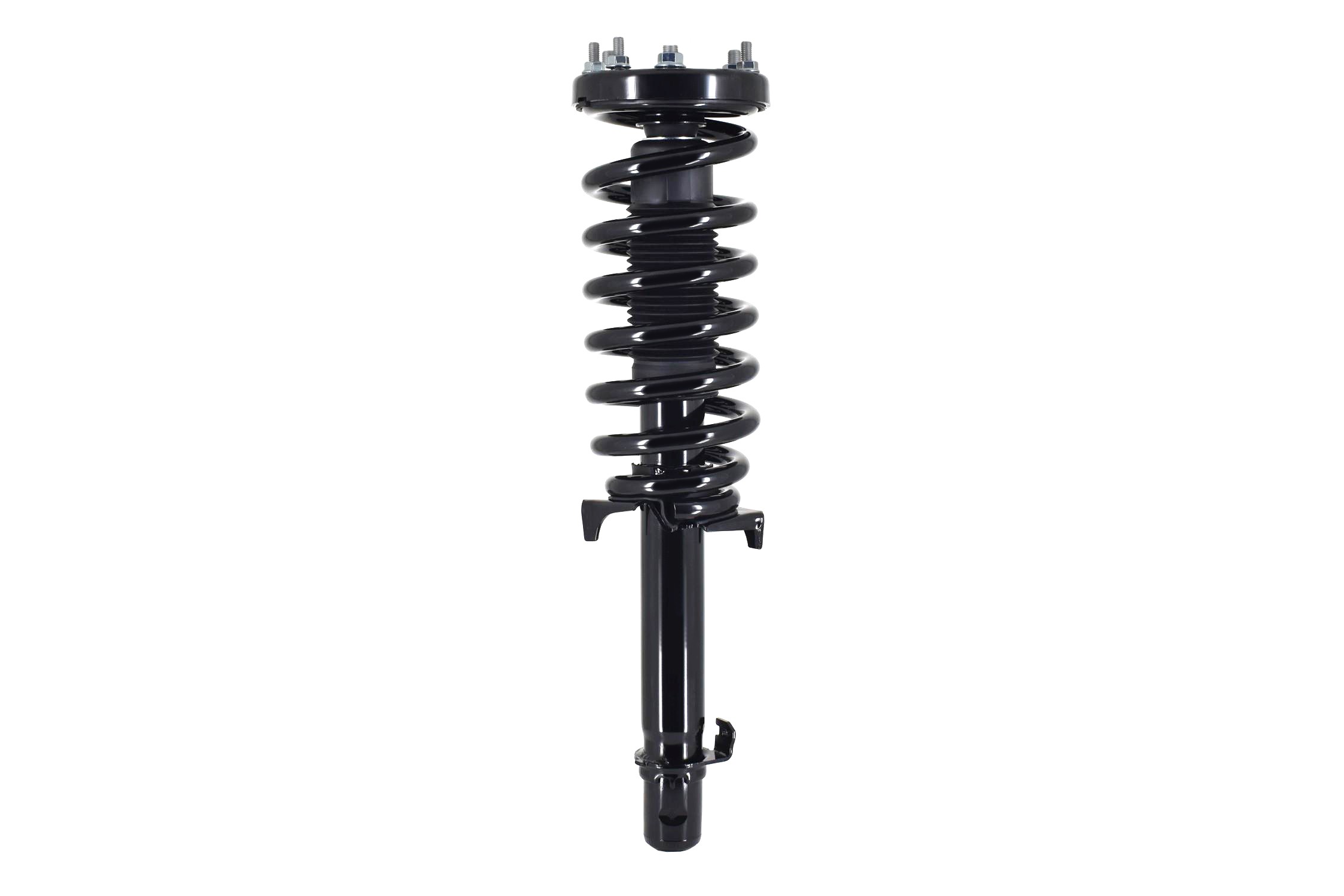 Suspension Strut and Coil Spring Assembly