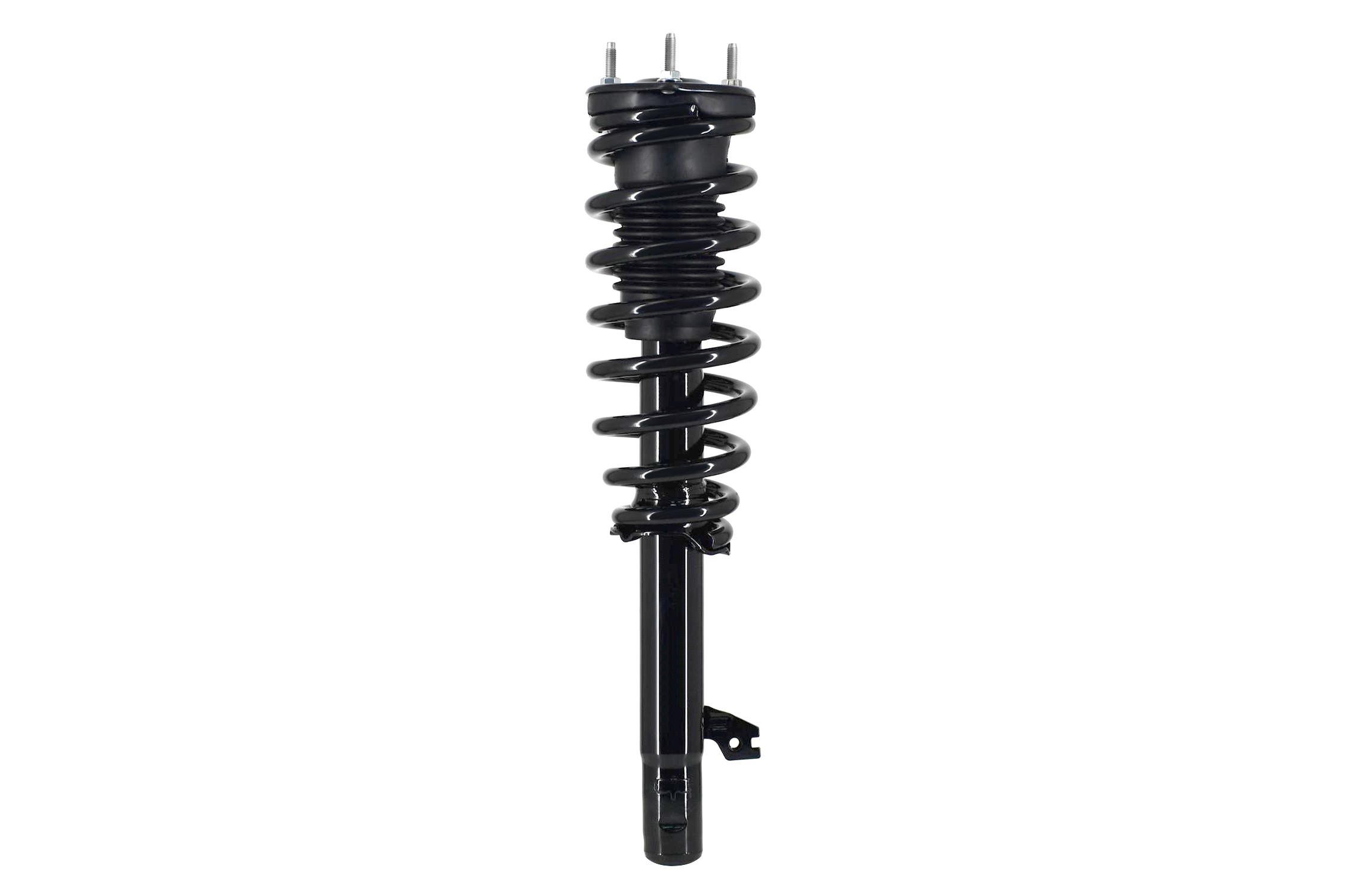 Suspension Strut and Coil Spring Assembly