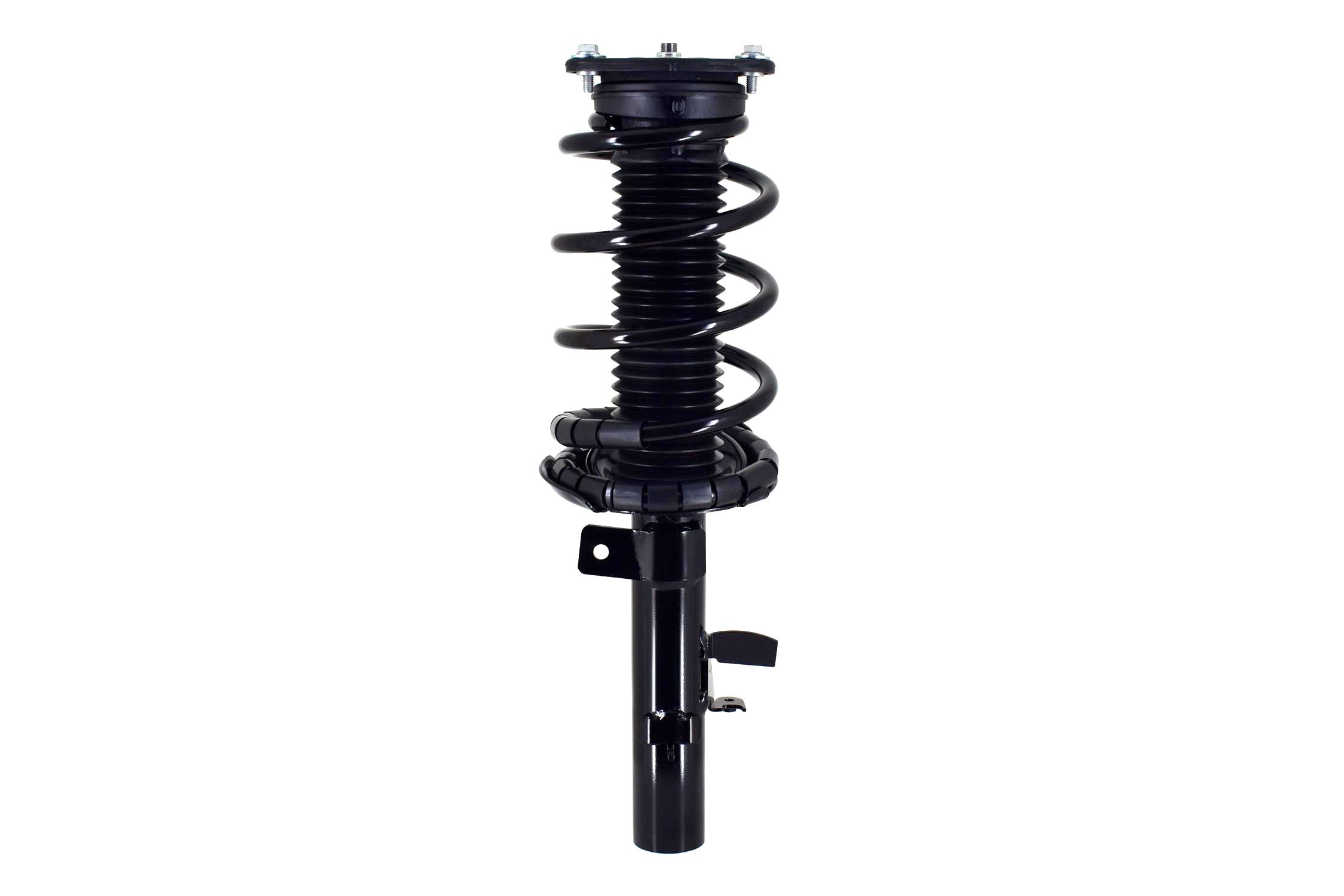 Suspension Strut and Coil Spring Assembly