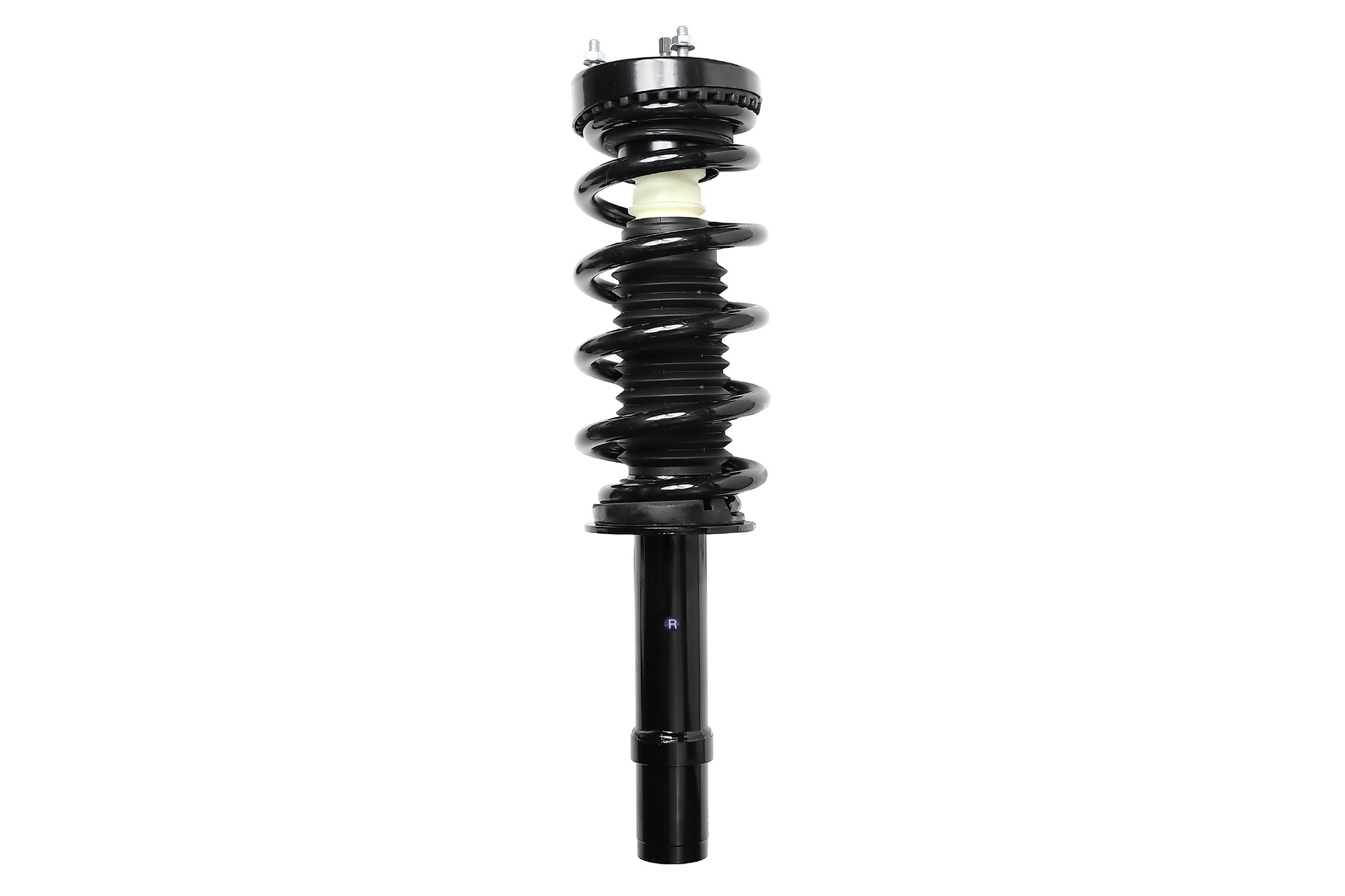 Suspension Strut and Coil Spring Assembly