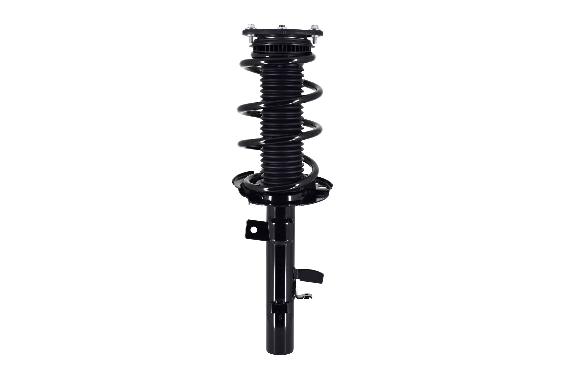 Suspension Strut and Coil Spring Assembly