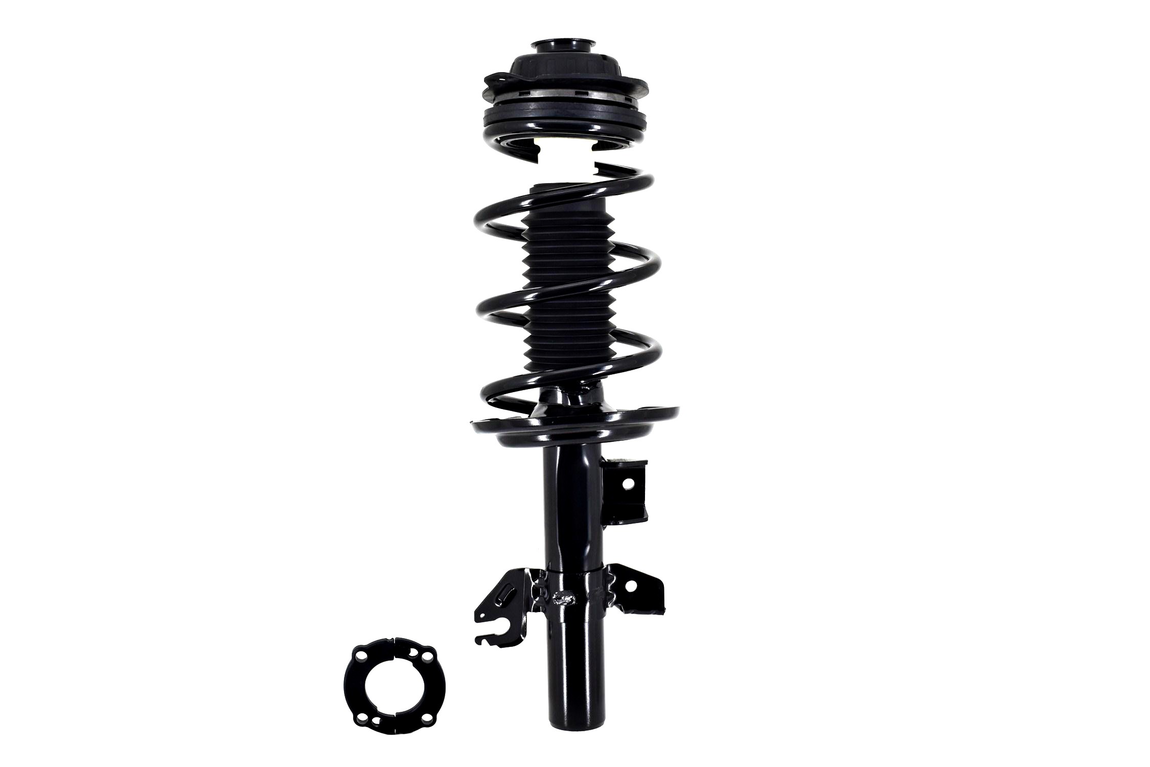 Suspension Strut and Coil Spring Assembly