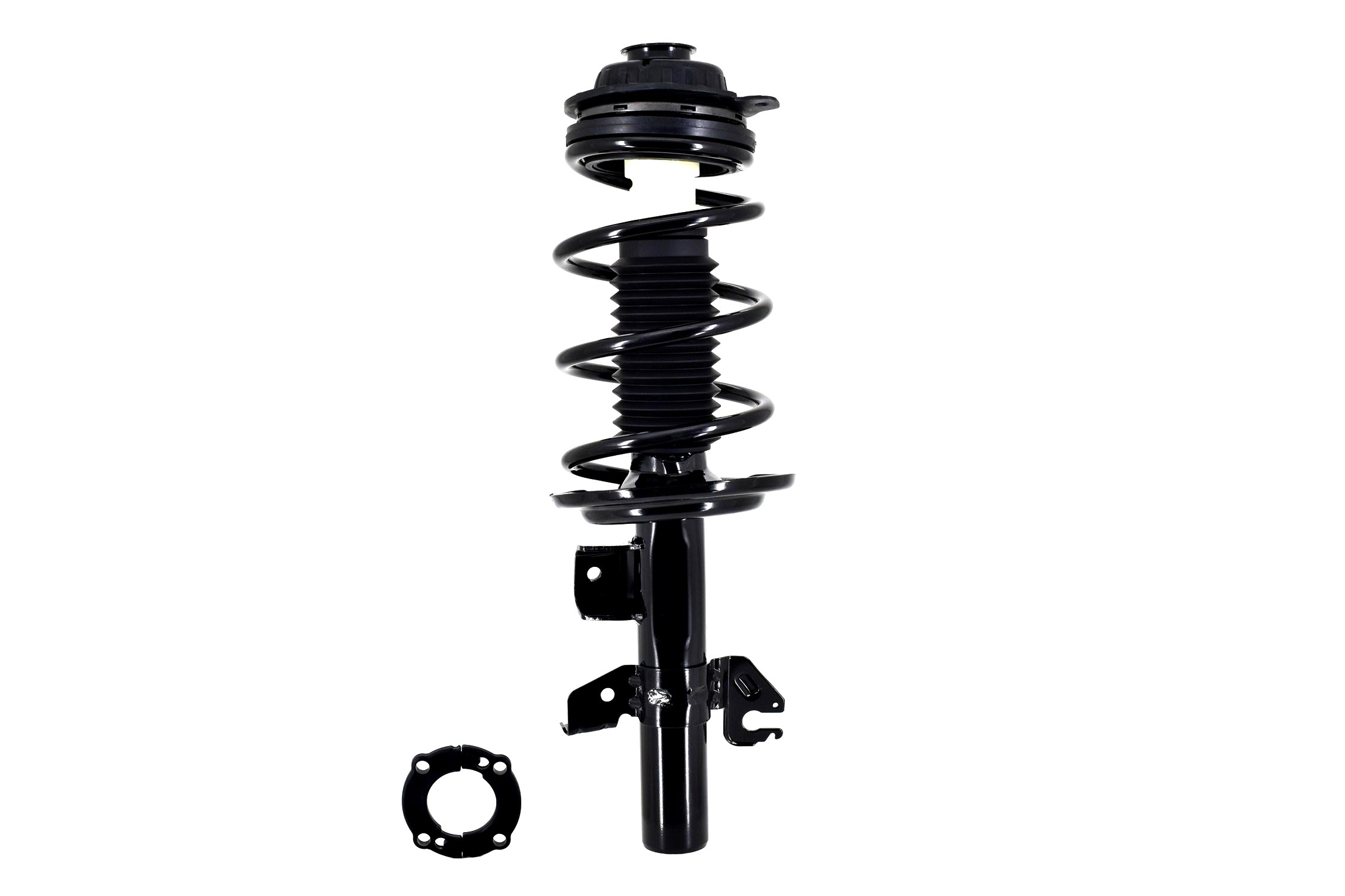 Suspension Strut and Coil Spring Assembly