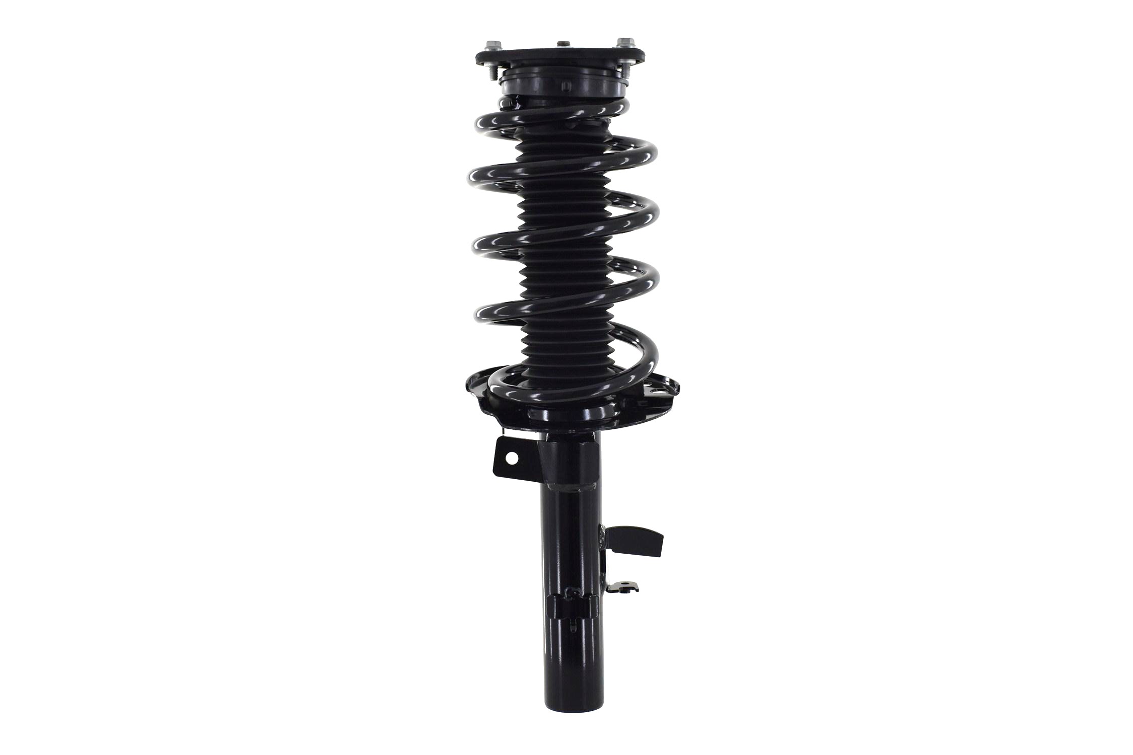 Suspension Strut and Coil Spring Assembly