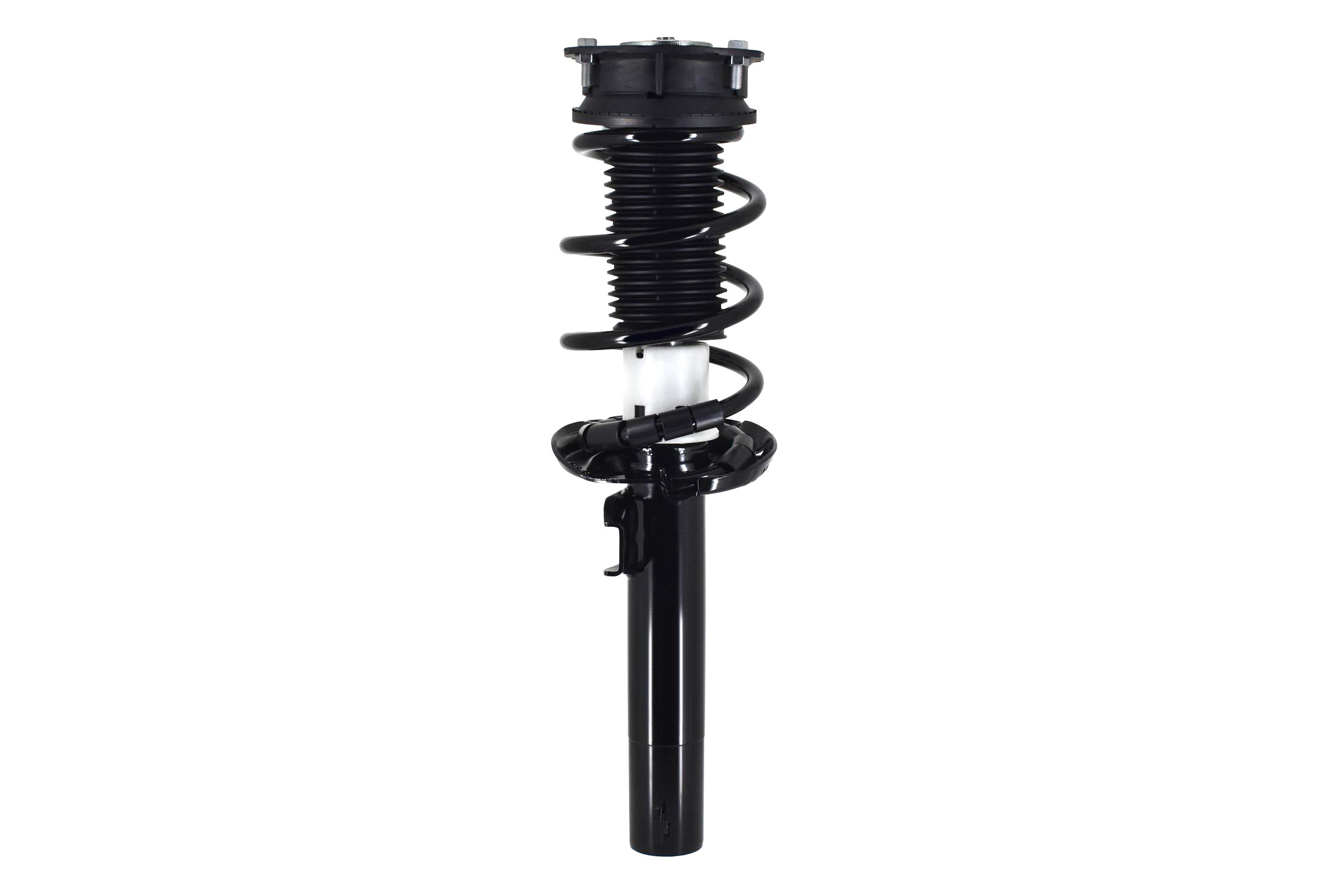 Suspension Strut and Coil Spring Assembly