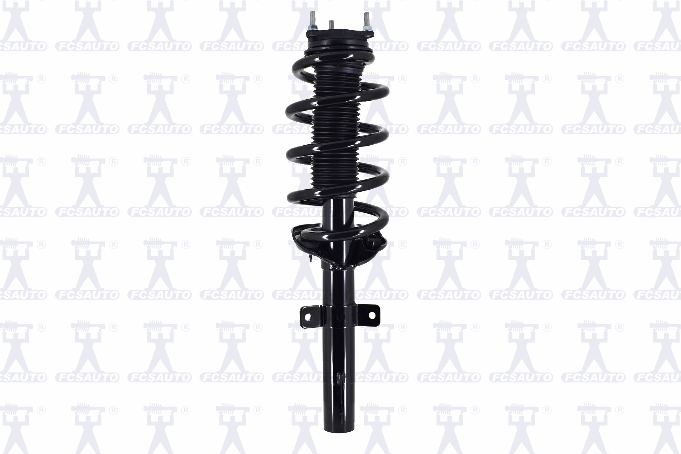 Suspension Strut and Coil Spring Assembly