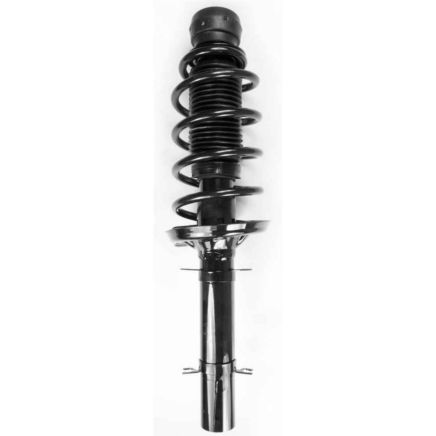 Suspension Strut and Coil Spring Assembly