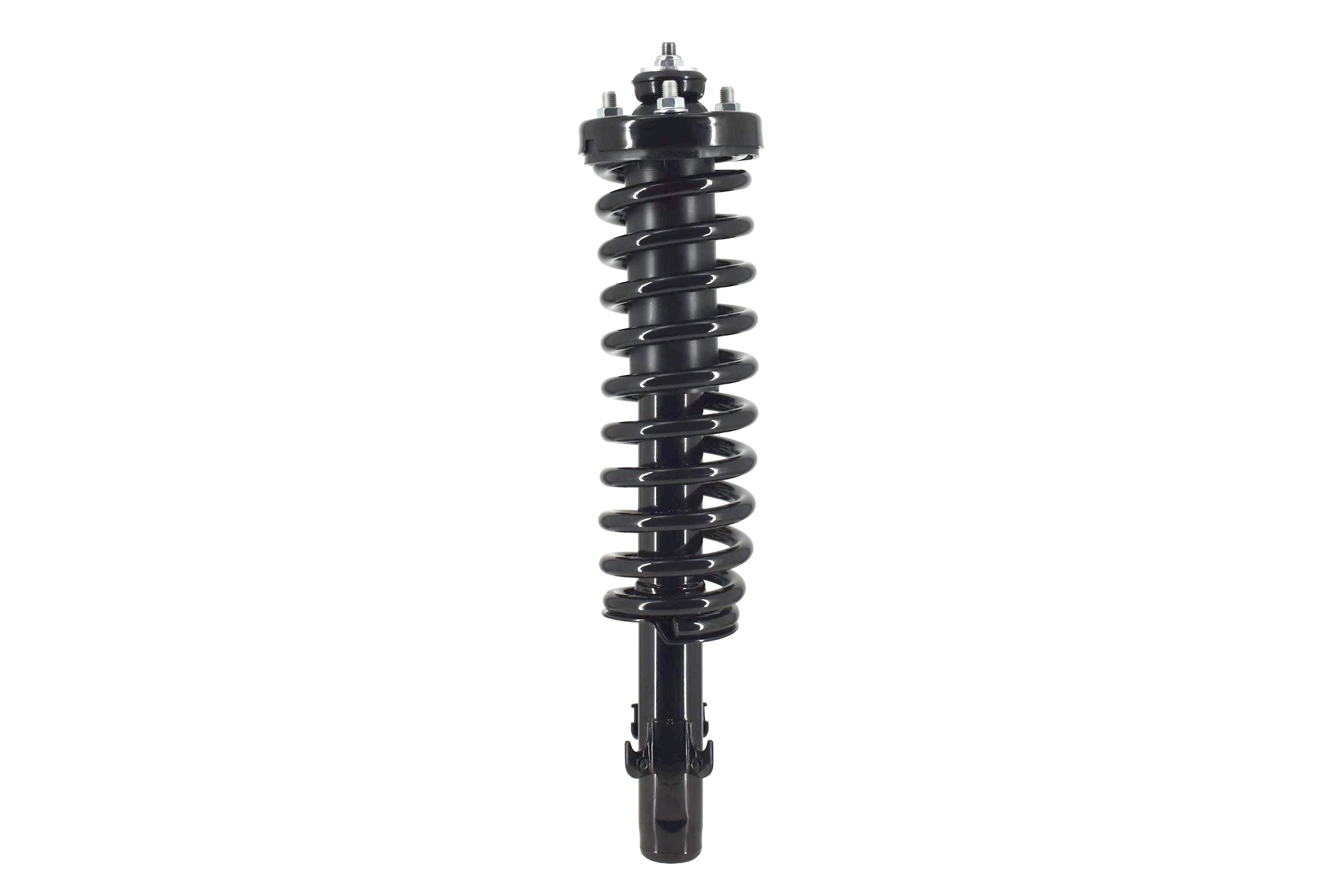 Suspension Strut and Coil Spring Assembly